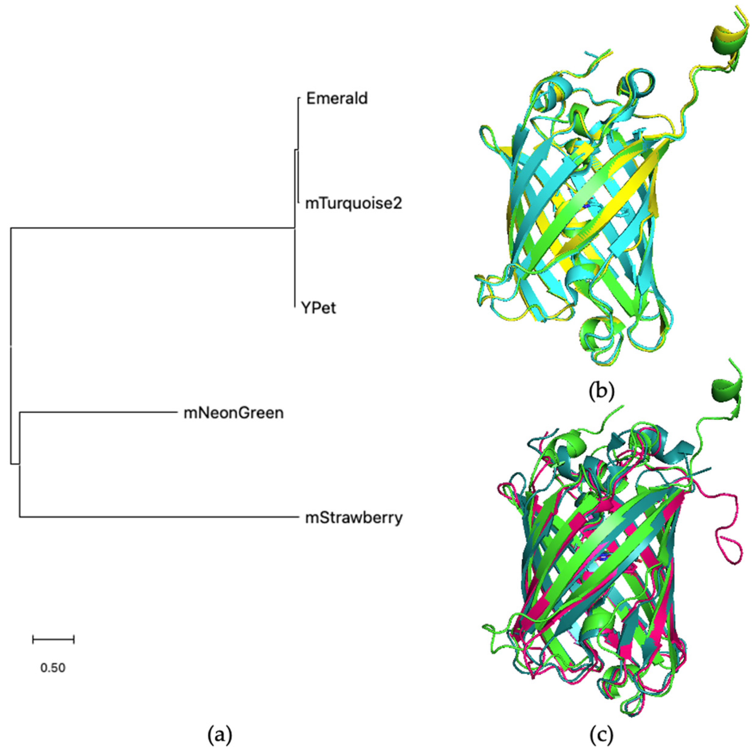 Molecules 27 05248 g005