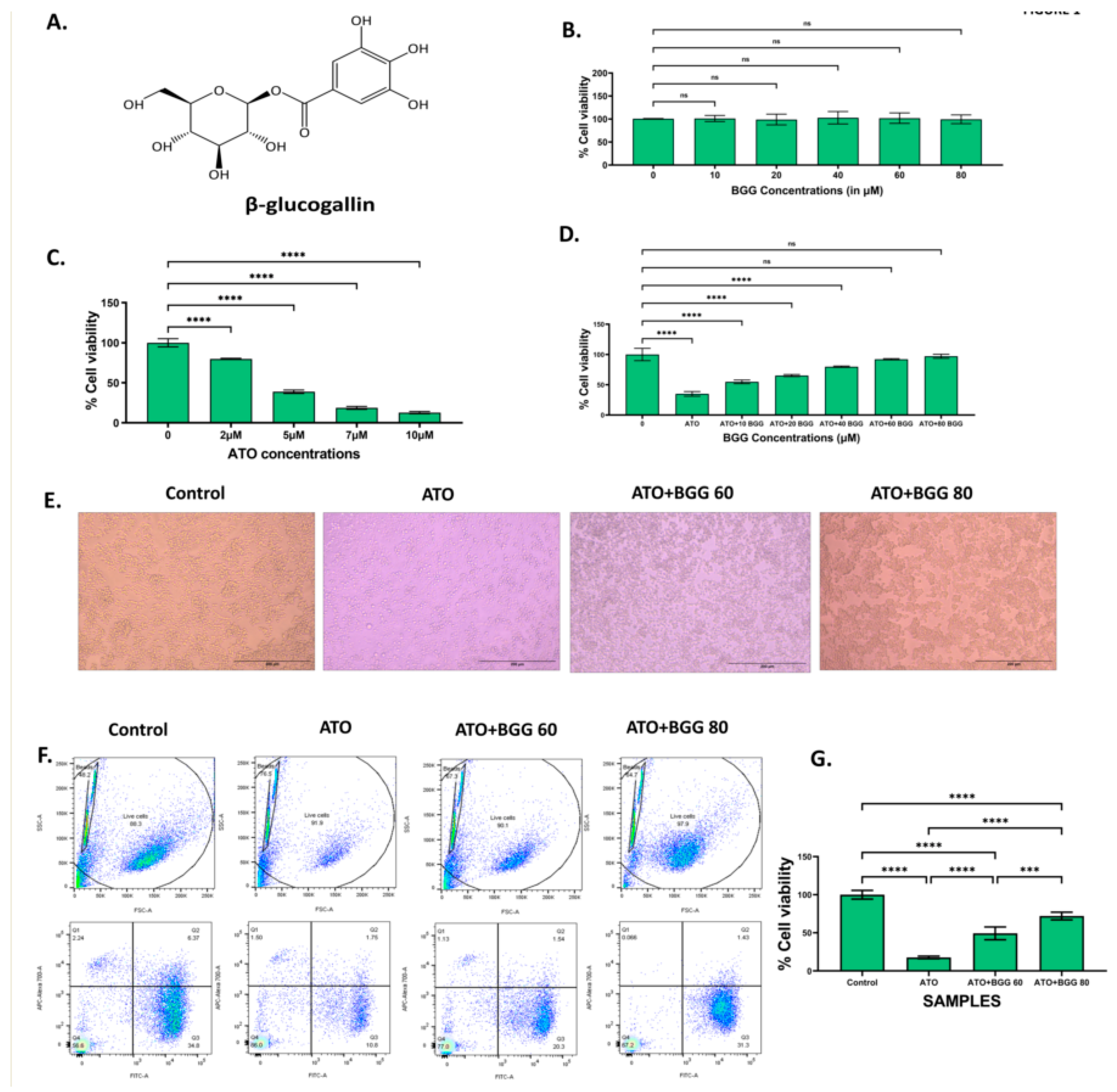 Molecules 27 05263 g001