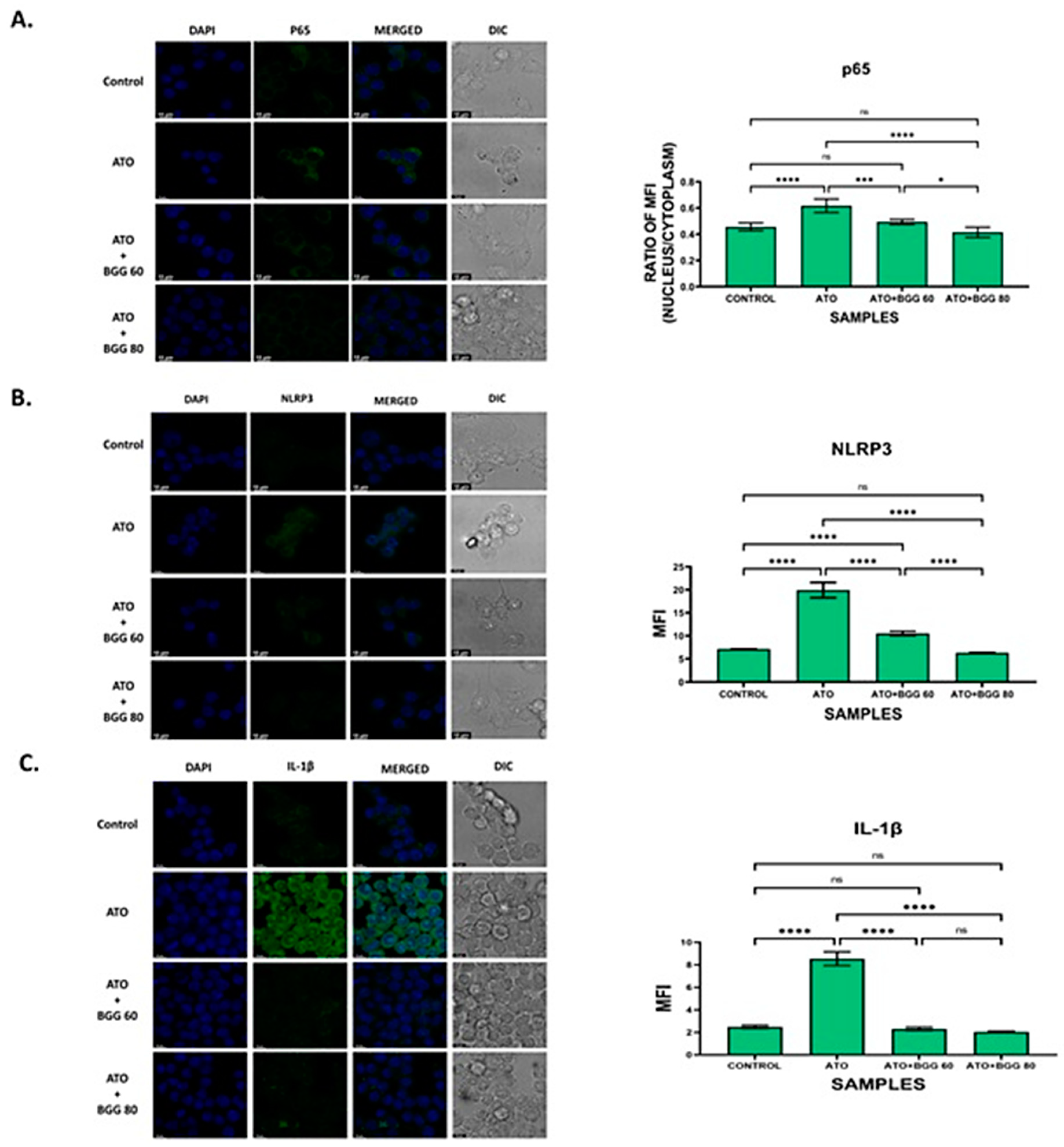 Molecules 27 05263 g005