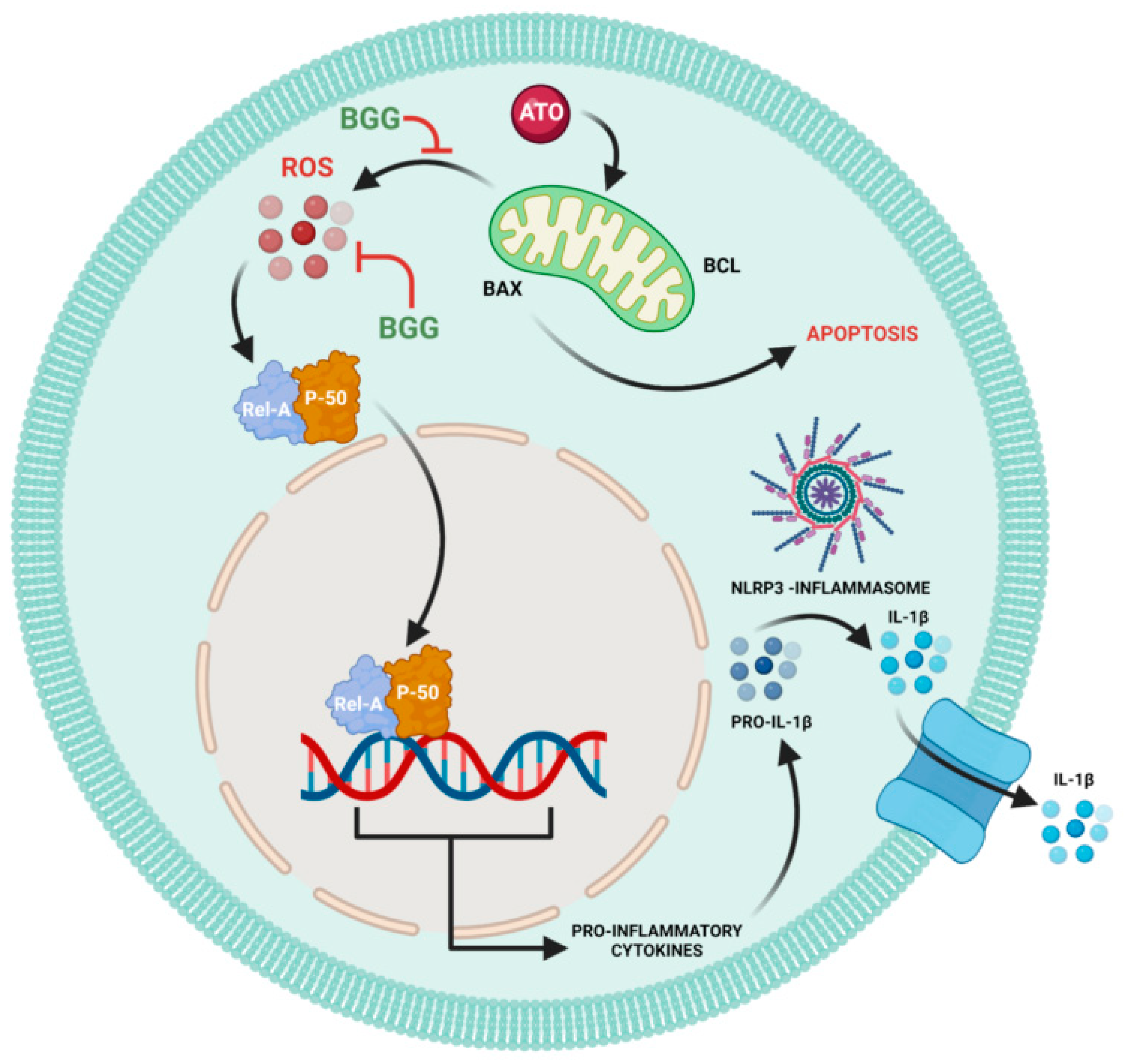 Molecules 27 05263 g006