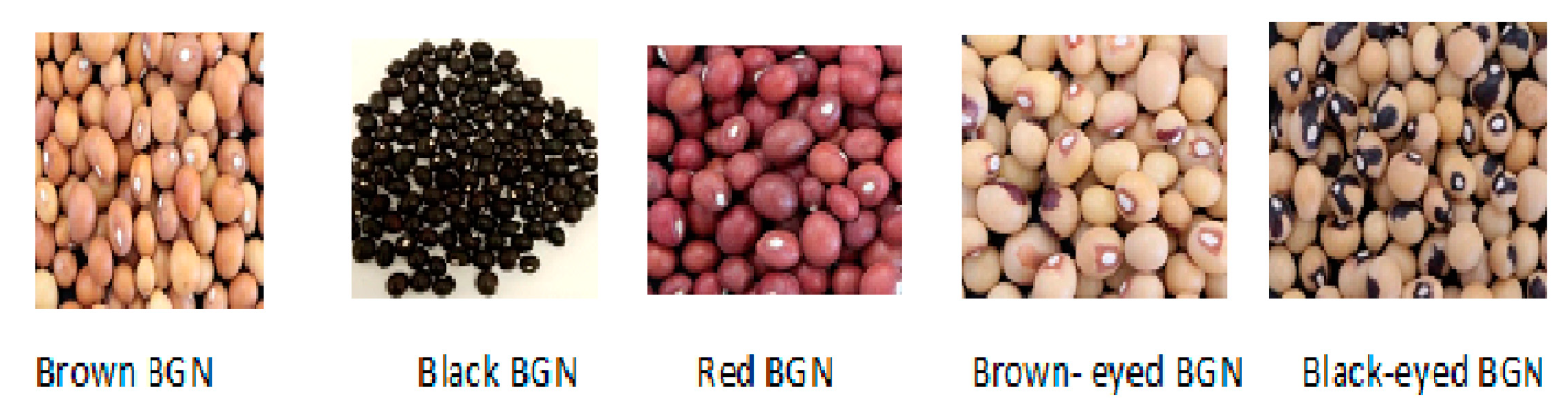 Molecules 27 05265 sch001 550