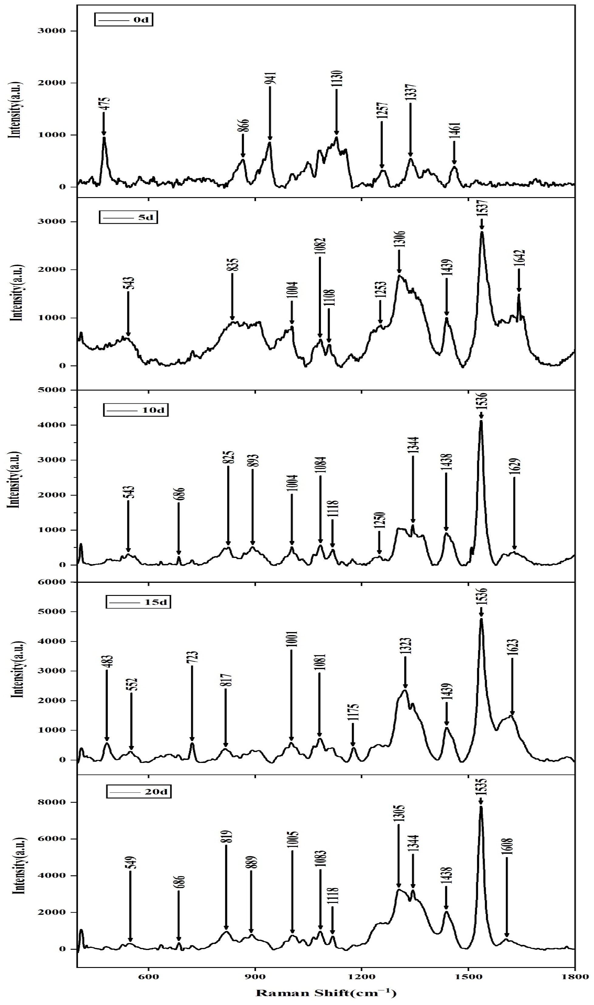 Molecules 27 05280 g004
