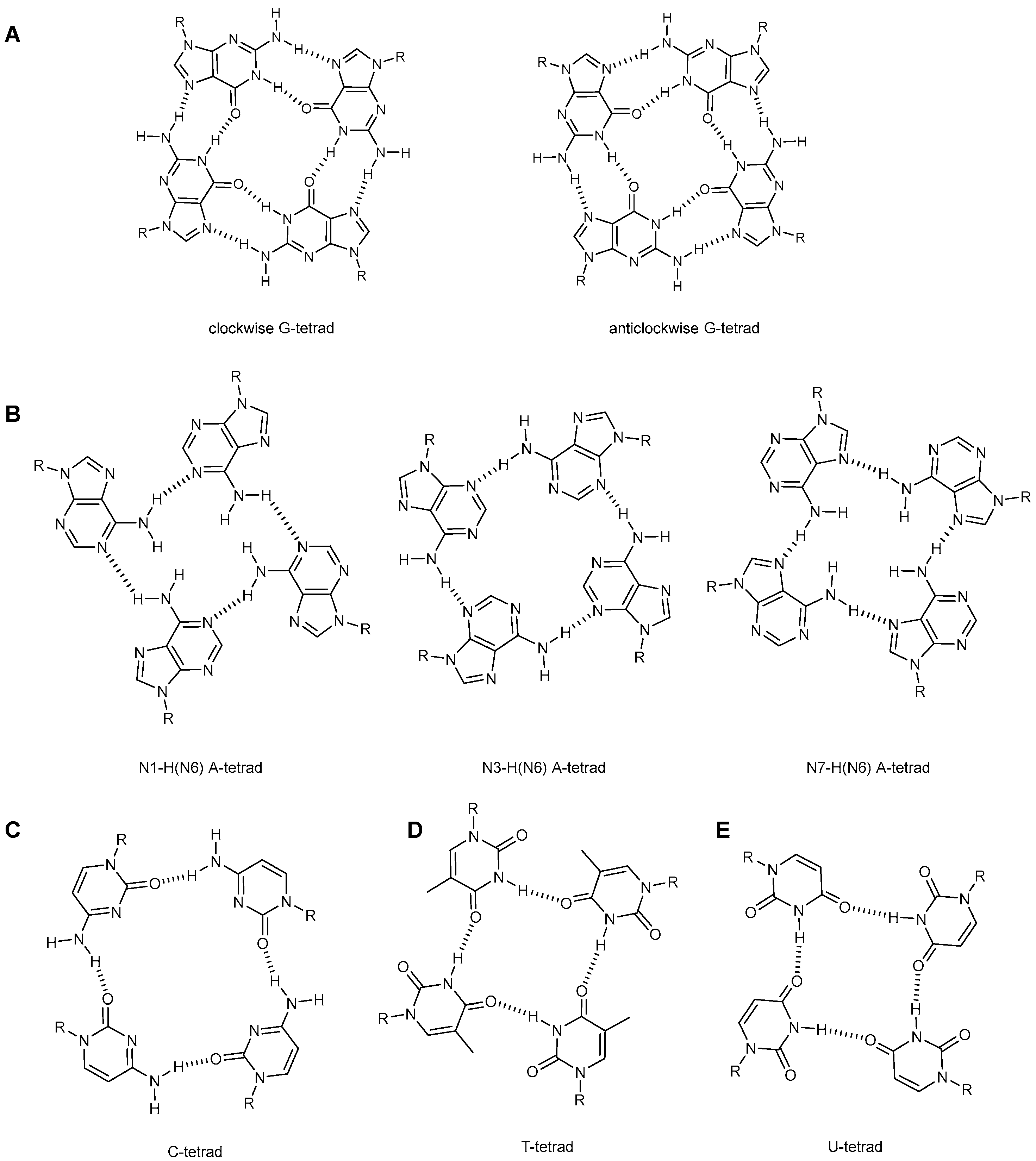 Molecules 27 05287 g001