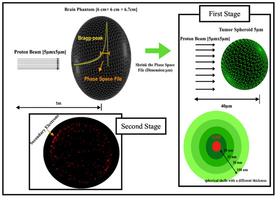 Molecules Free Full Text Secondary Electrons In Gold Nanoparticle Clusters And Their Role In Therapeutic Ratio The Outcome Of A Monte Carlo Simulation Study Molecules Free Full Text Secondary Electrons In Gold Nanoparticle Clusters And Their Role In Therapeutic Ratio The Outcome Of A Monte Carlo Simulation Study