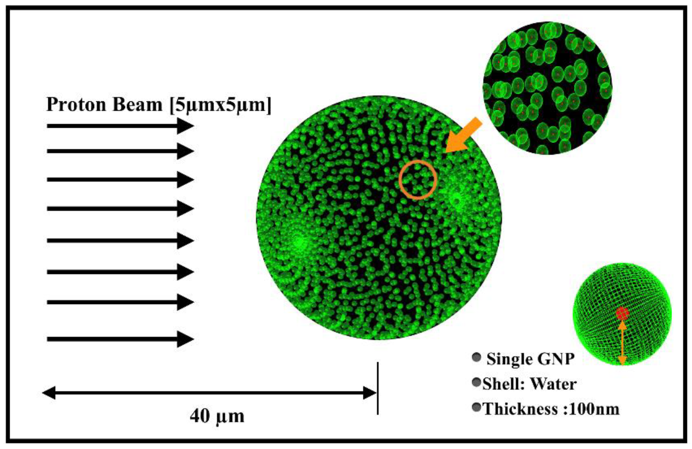 Molecules 27 05290 g003 550