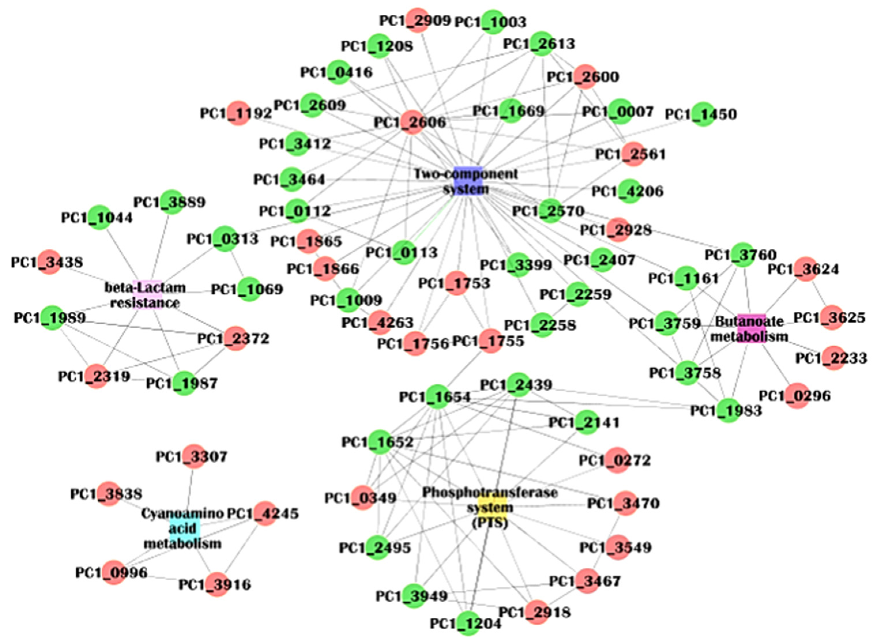 Molecules 27 05291 g008