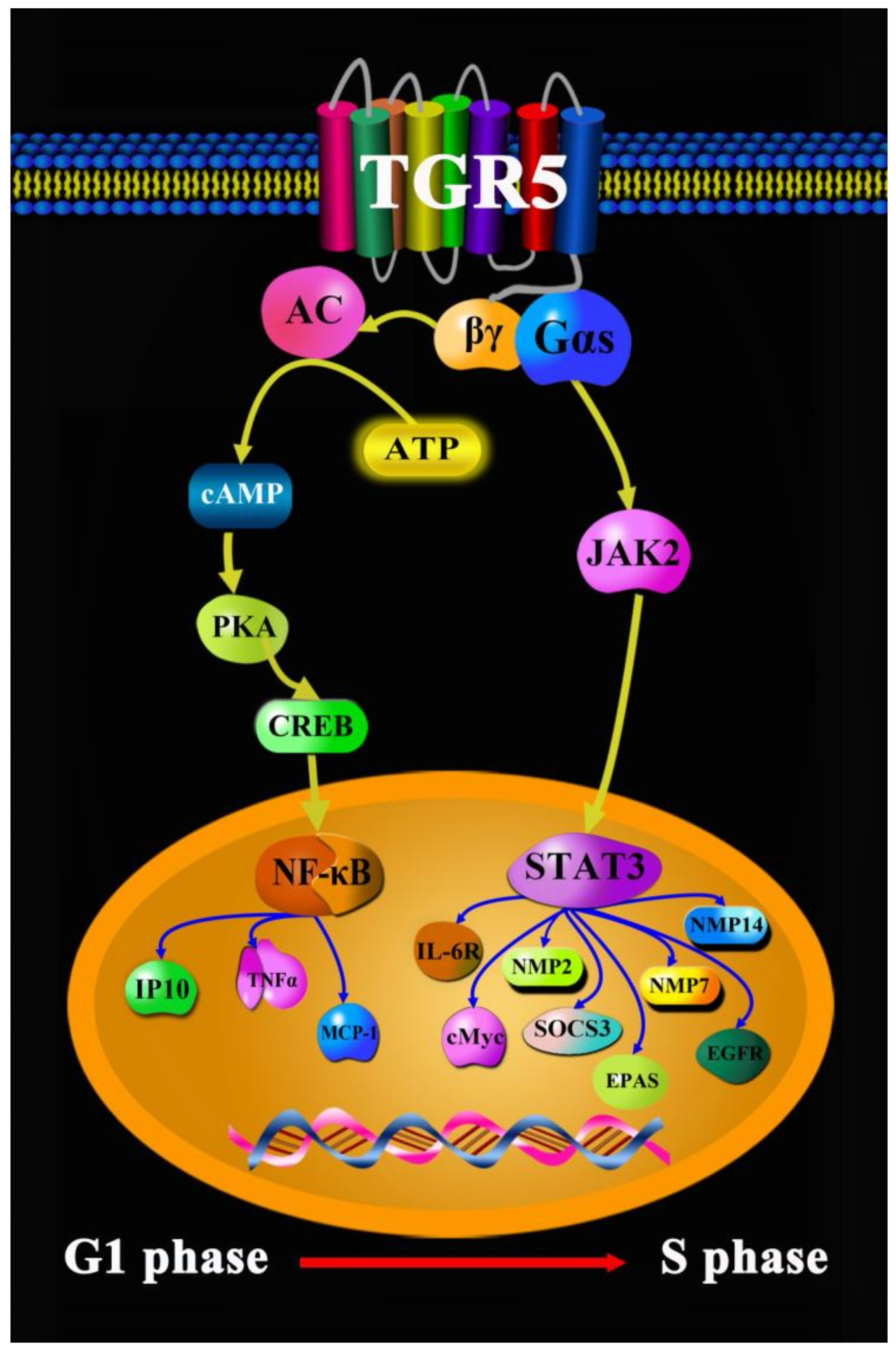 Molecules 27 05292 g005 Molecules 27 05292 g005