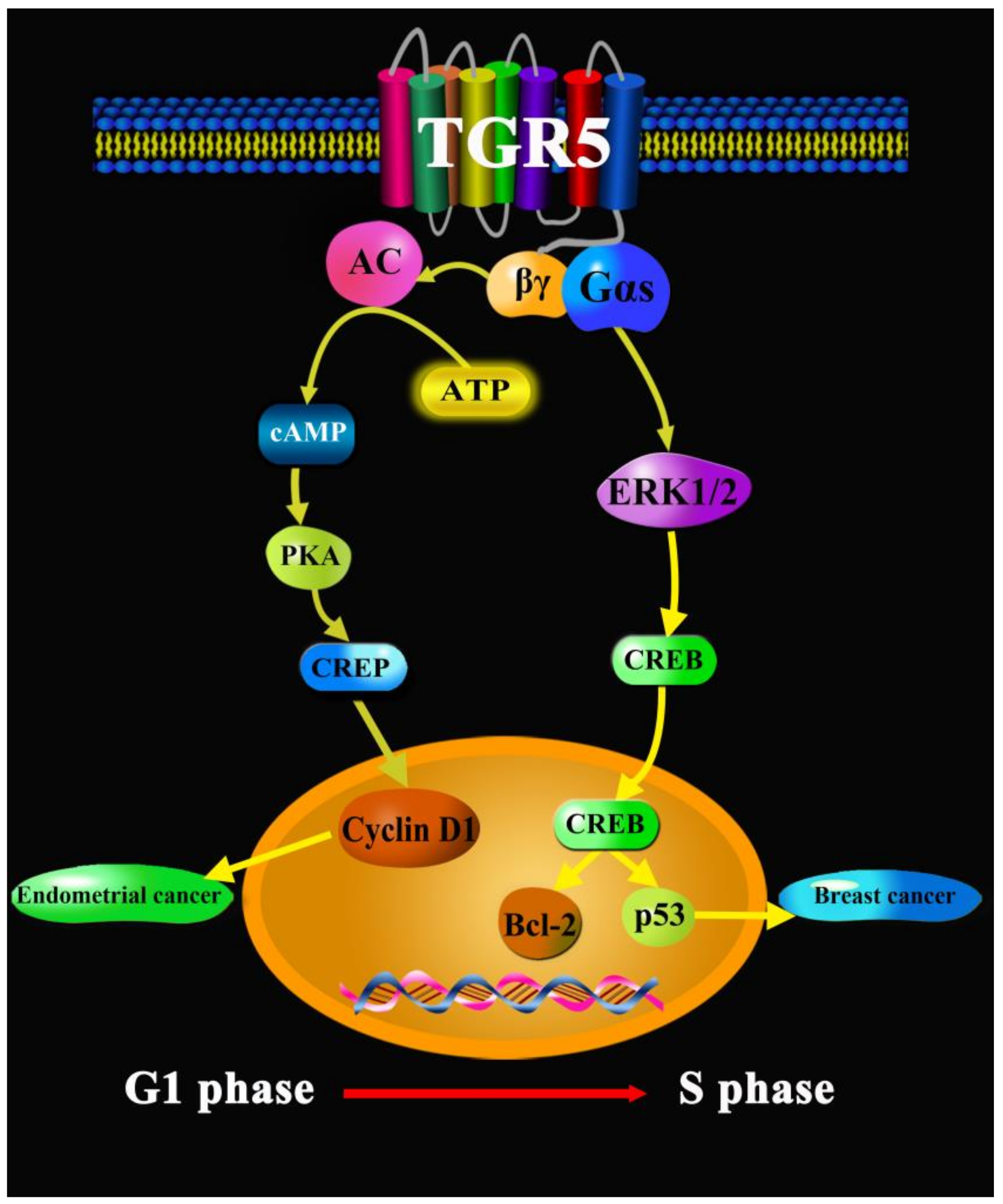 Molecules 27 05292 g007 Molecules 27 05292 g007