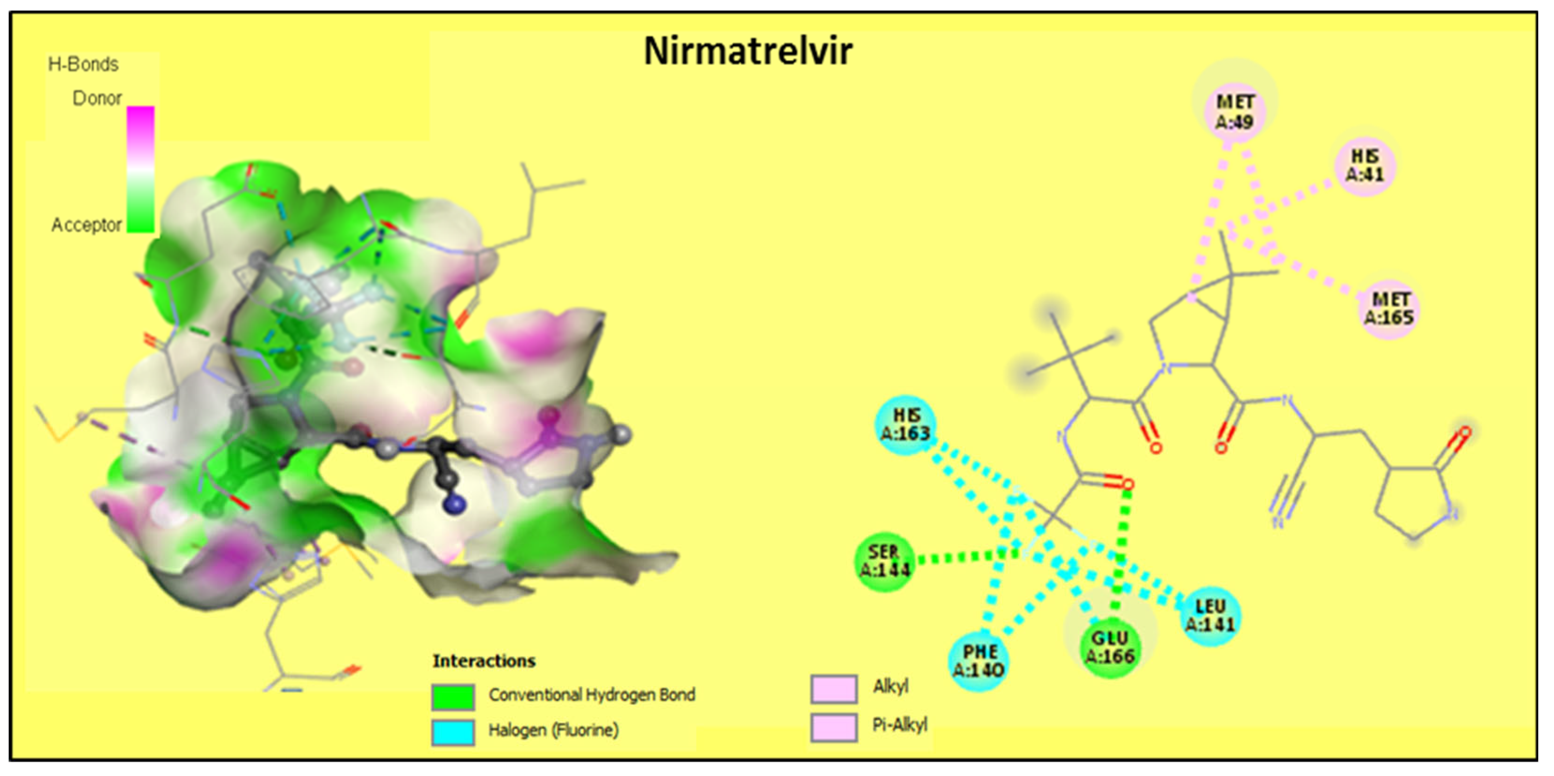 Molecules 27 05303 g006