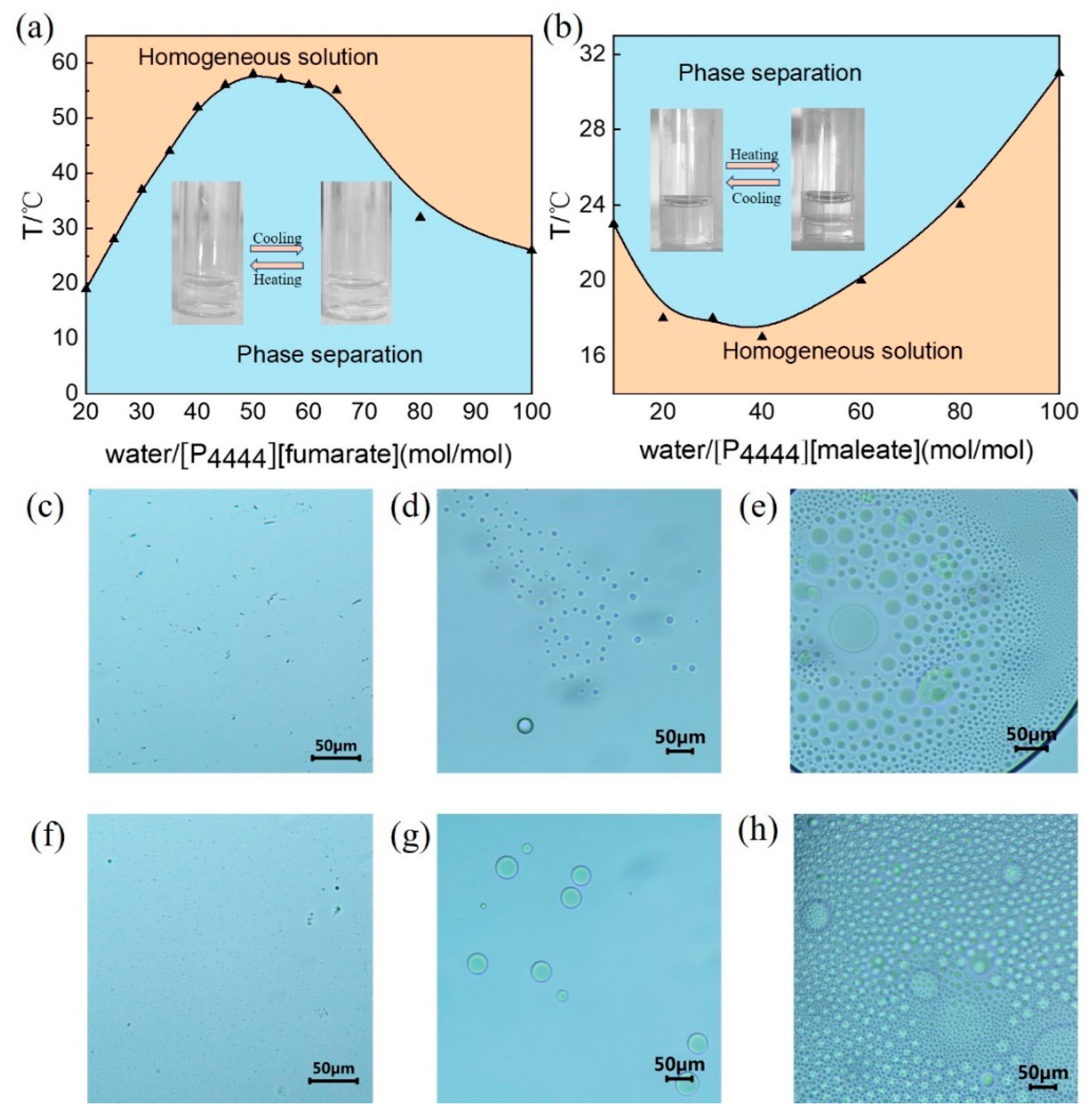 Molecules 27 05307 g002 550