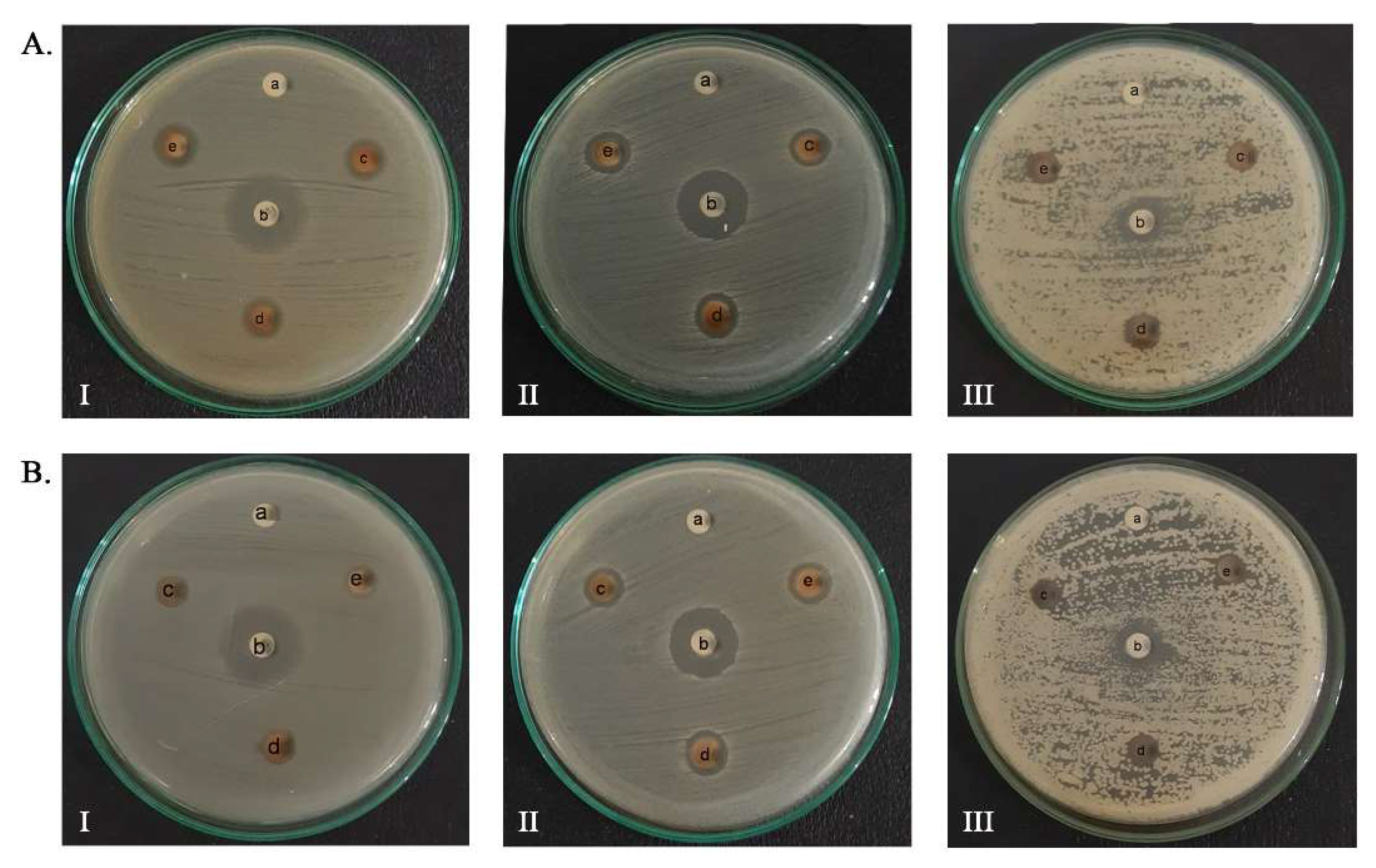 Molecules 27 05310 g006 550