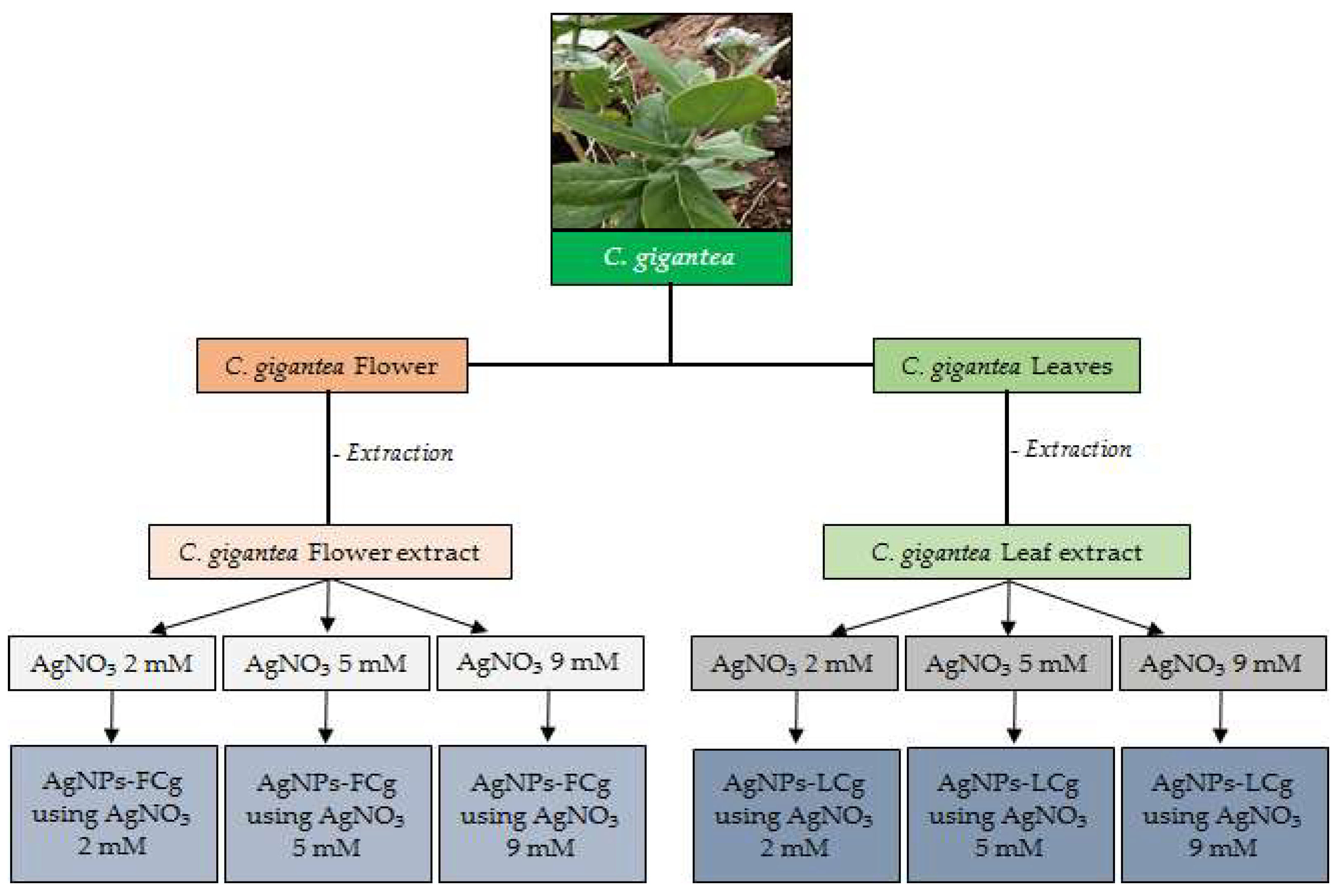 Molecules 27 05310 g008 550