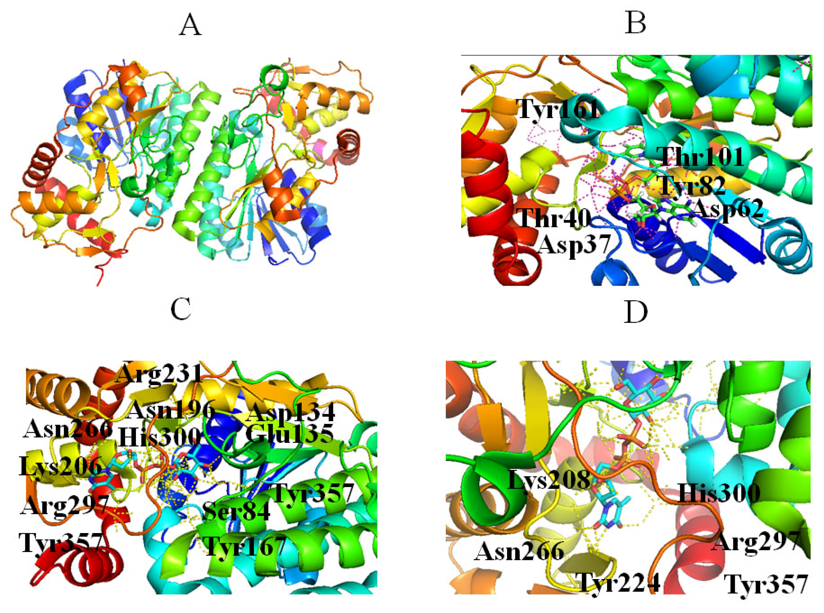 Molecules 27 05315 g004 Molecules 27 05315 g004