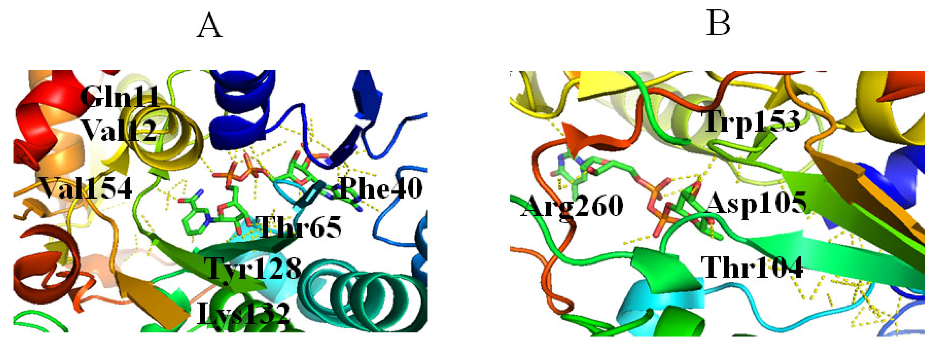 Molecules 27 05315 g006 Molecules 27 05315 g006