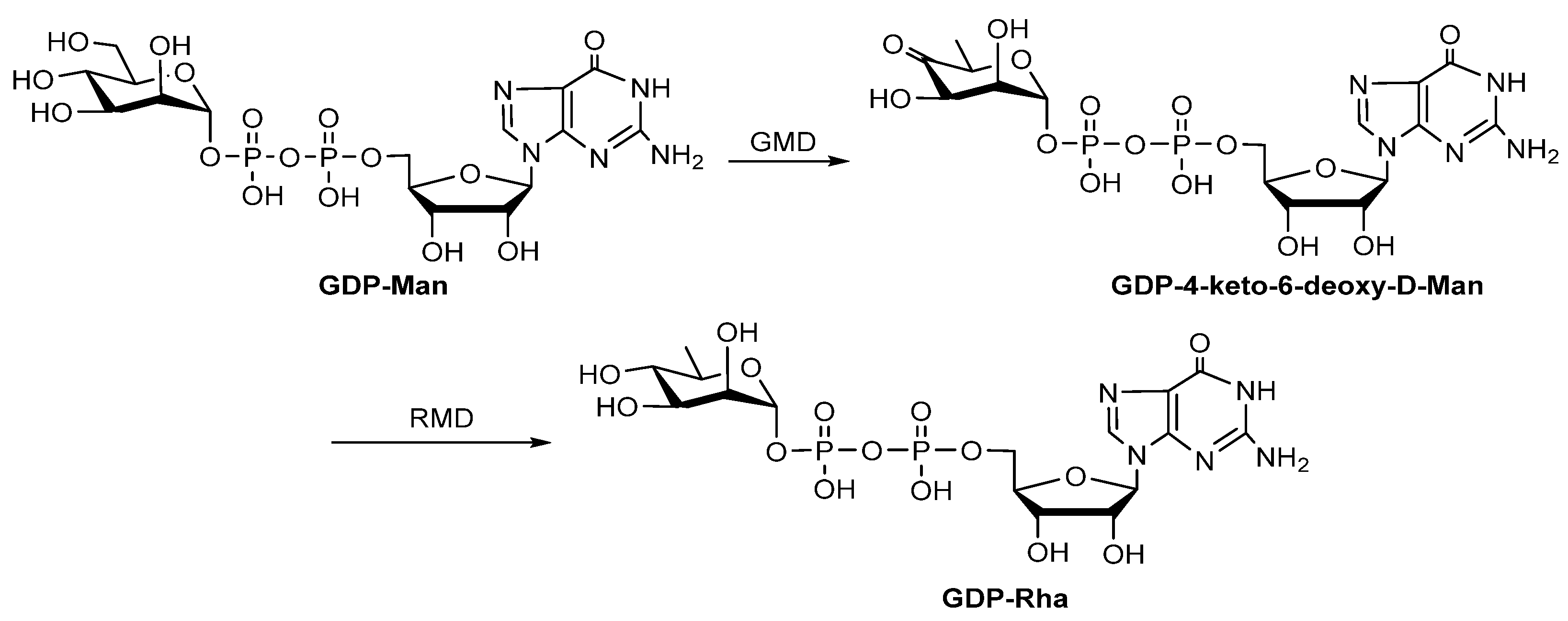 Molecules 27 05315 g007 Molecules 27 05315 g007