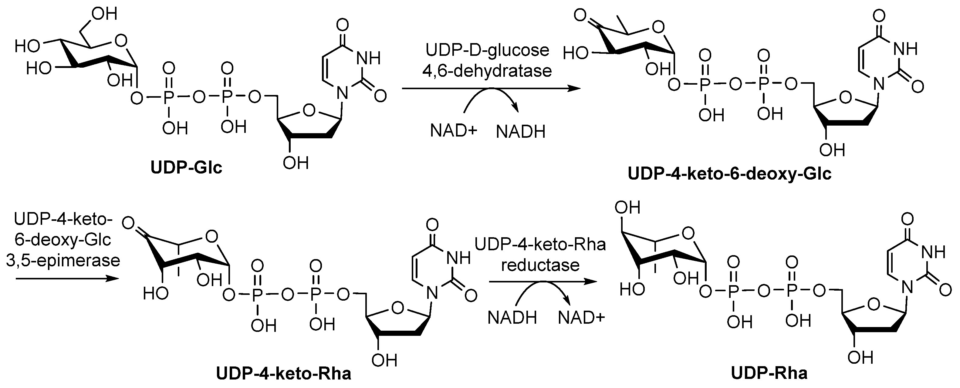 Molecules 27 05315 g008 Molecules 27 05315 g008