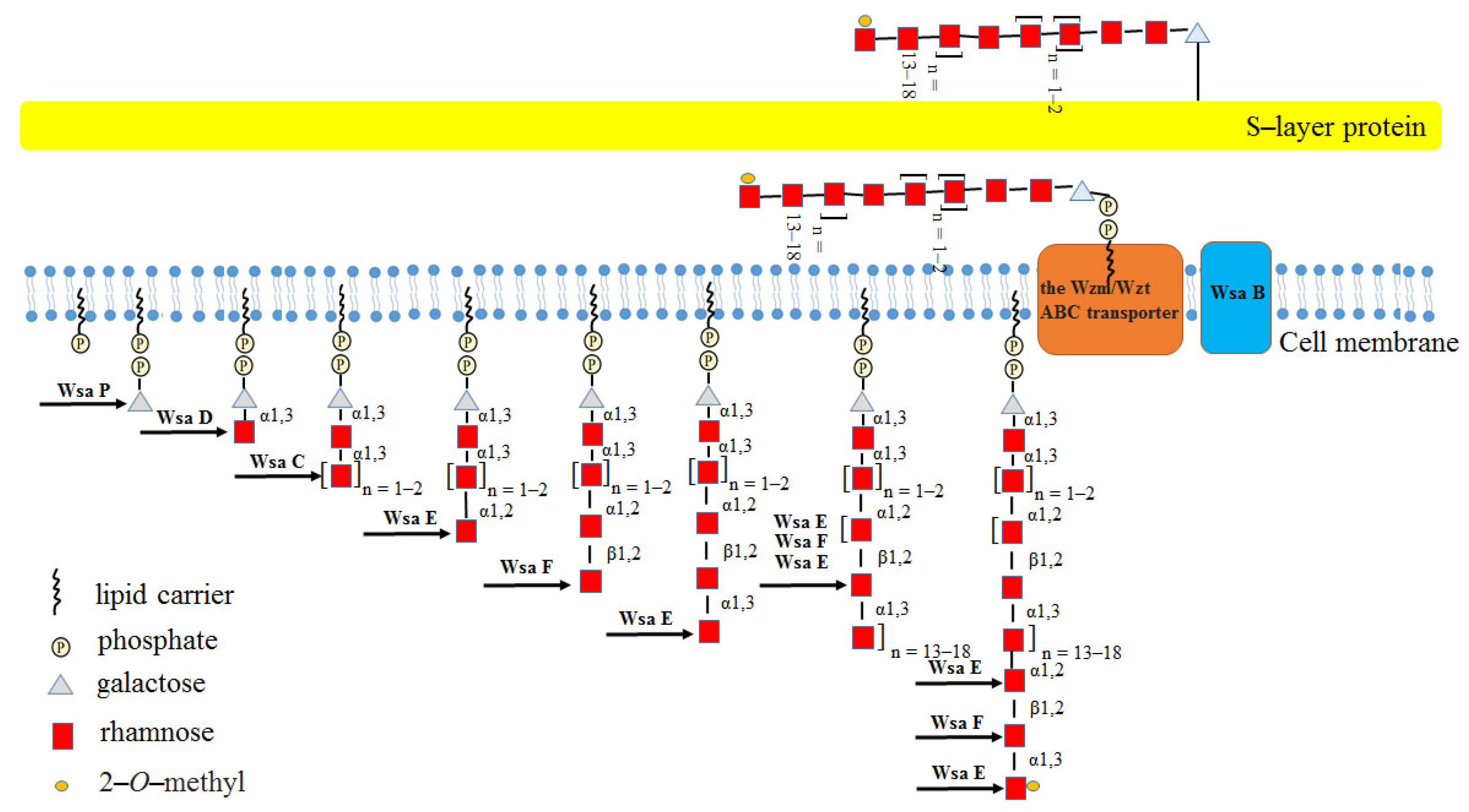 Molecules 27 05315 g010 Molecules 27 05315 g010