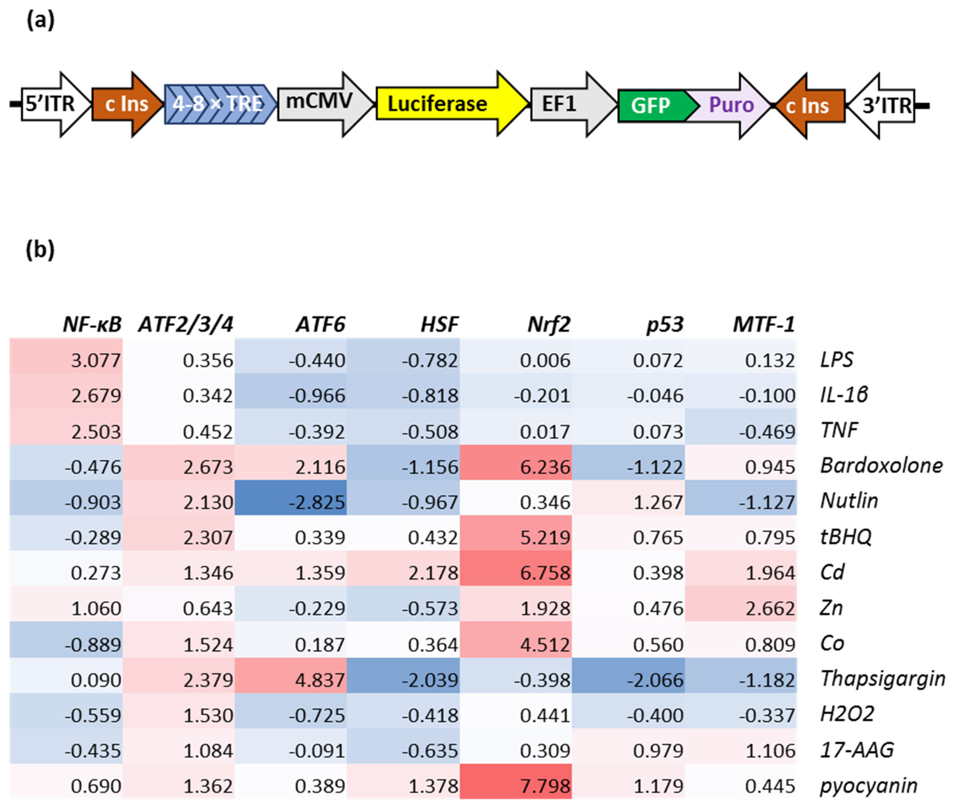 Molecules 27 05317 g005