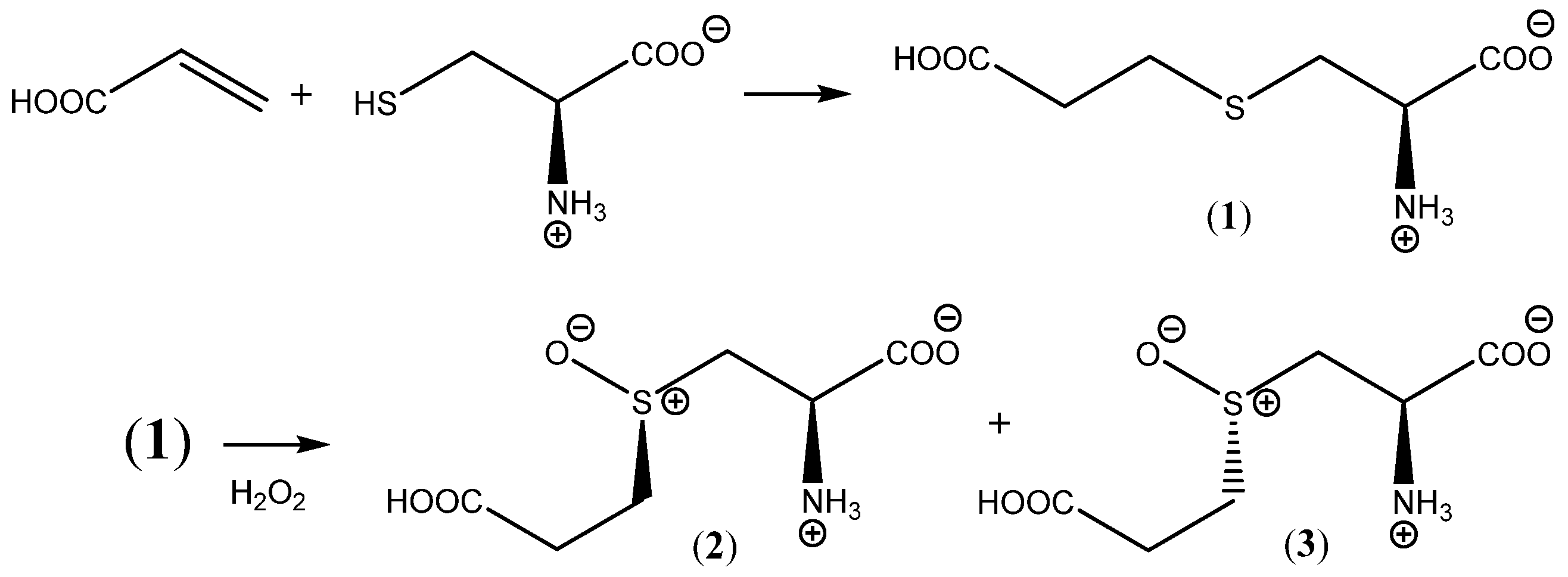 Molecules 27 05317 sch001