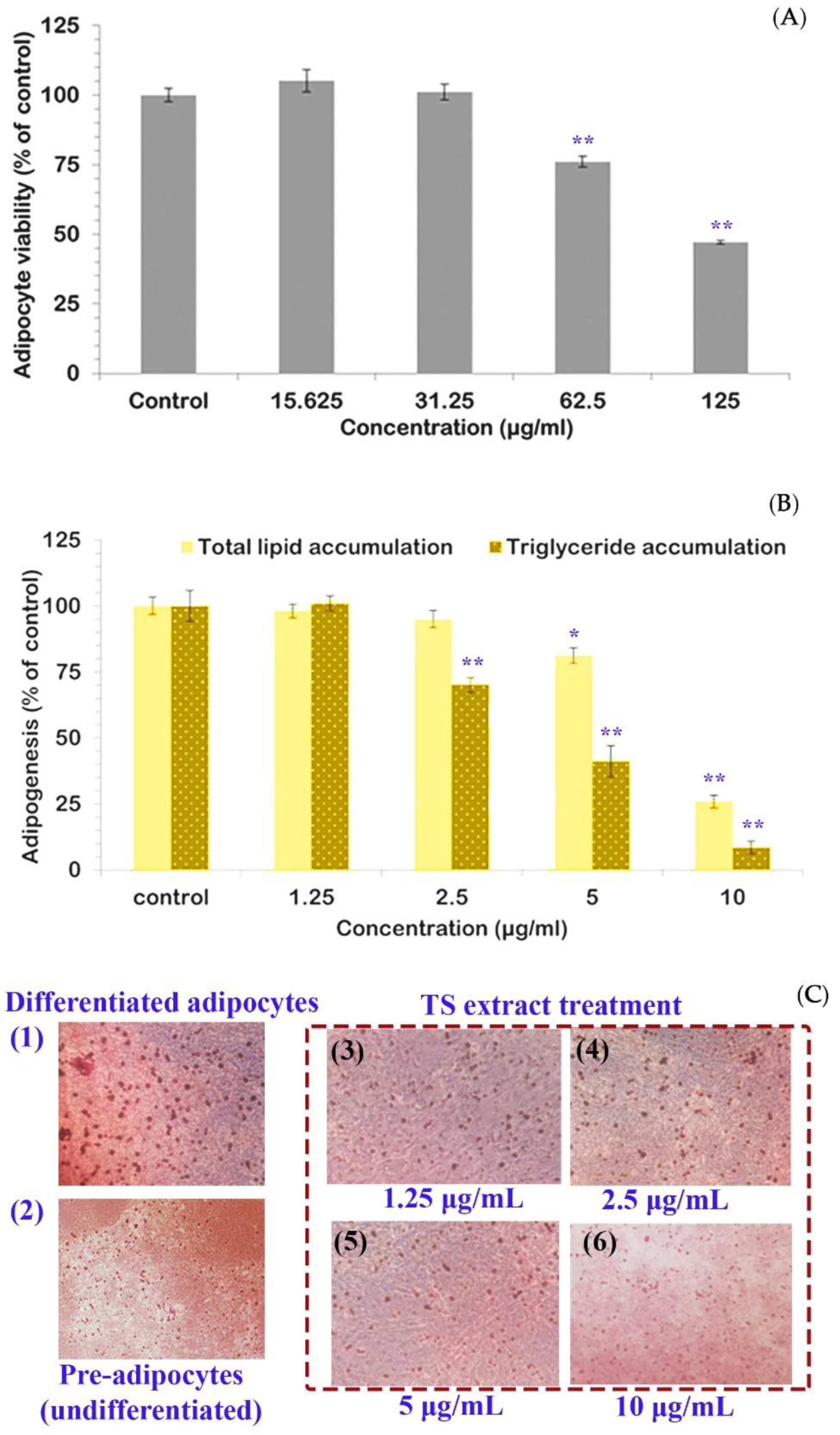 Molecules 27 05319 g003