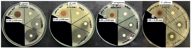 Molecules 27 05319 i002
