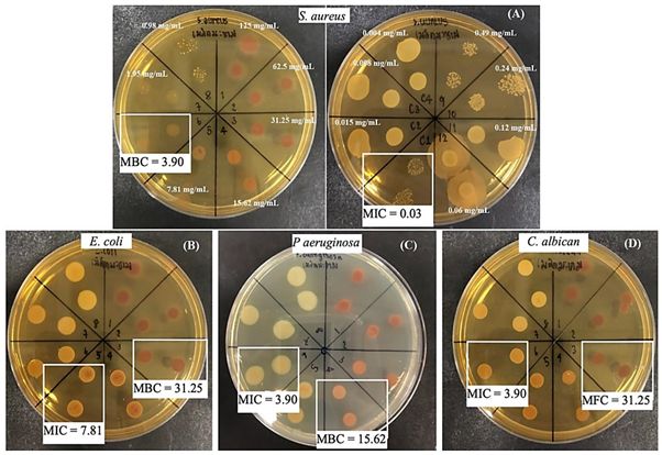 Molecules 27 05319 i003