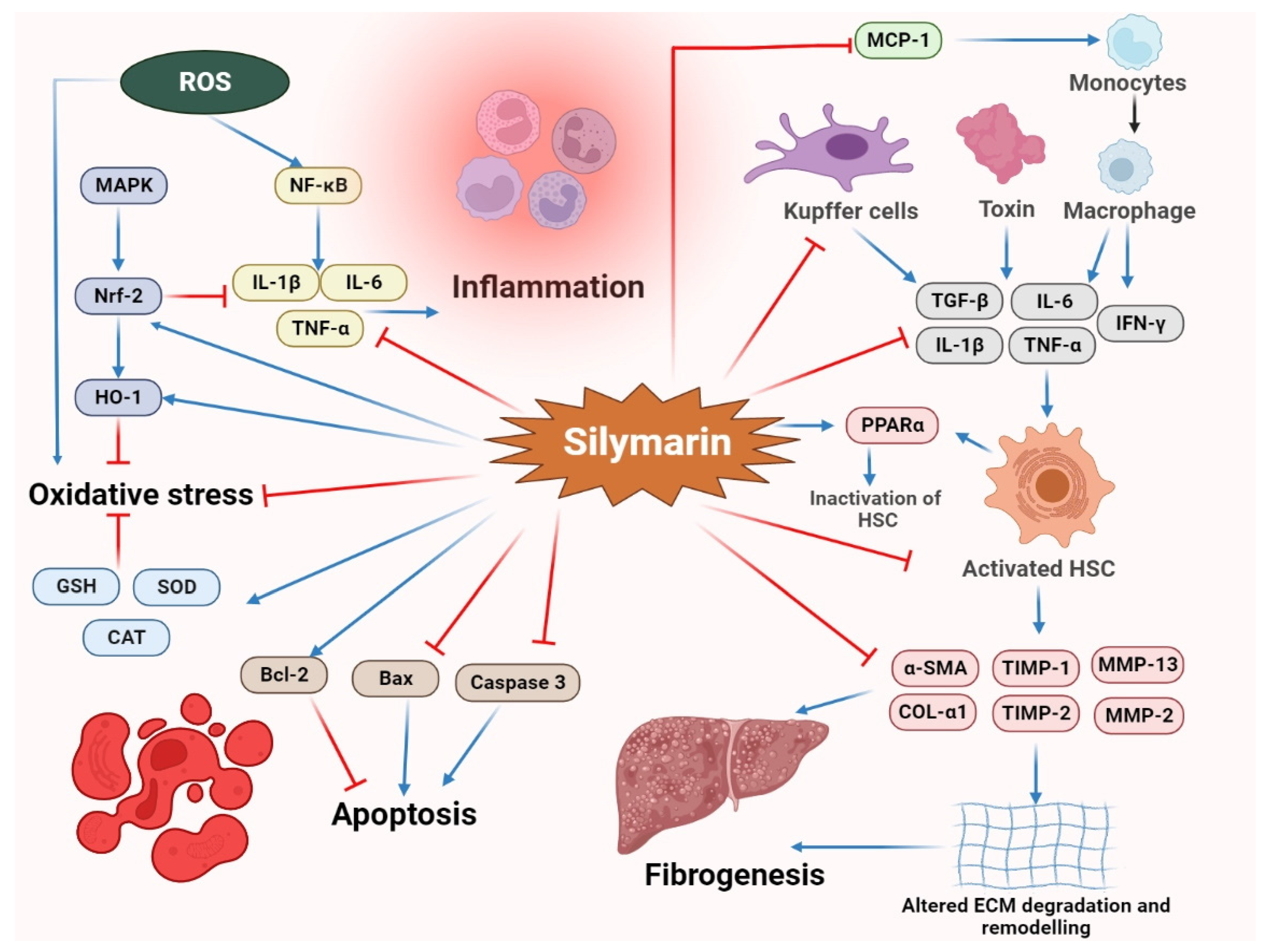 Molecules 27 05327 g003
