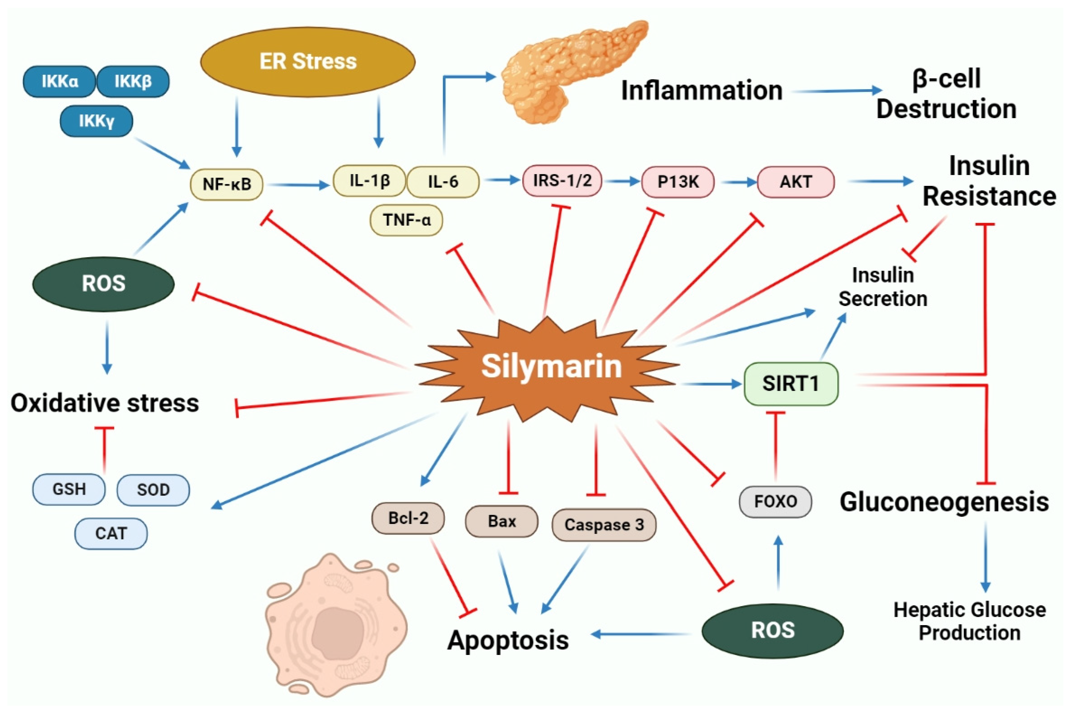Molecules 27 05327 g004