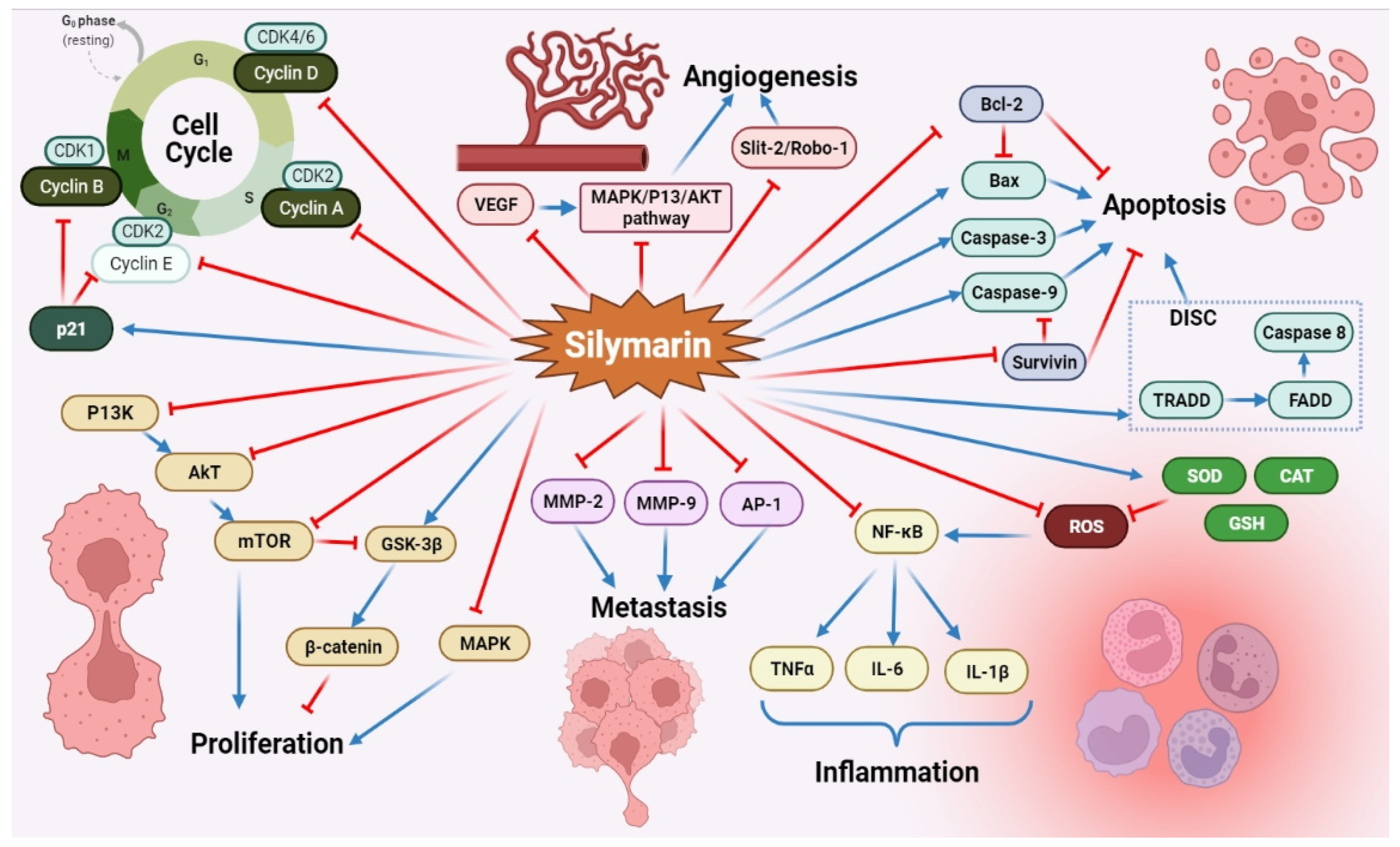 Molecules 27 05327 g005