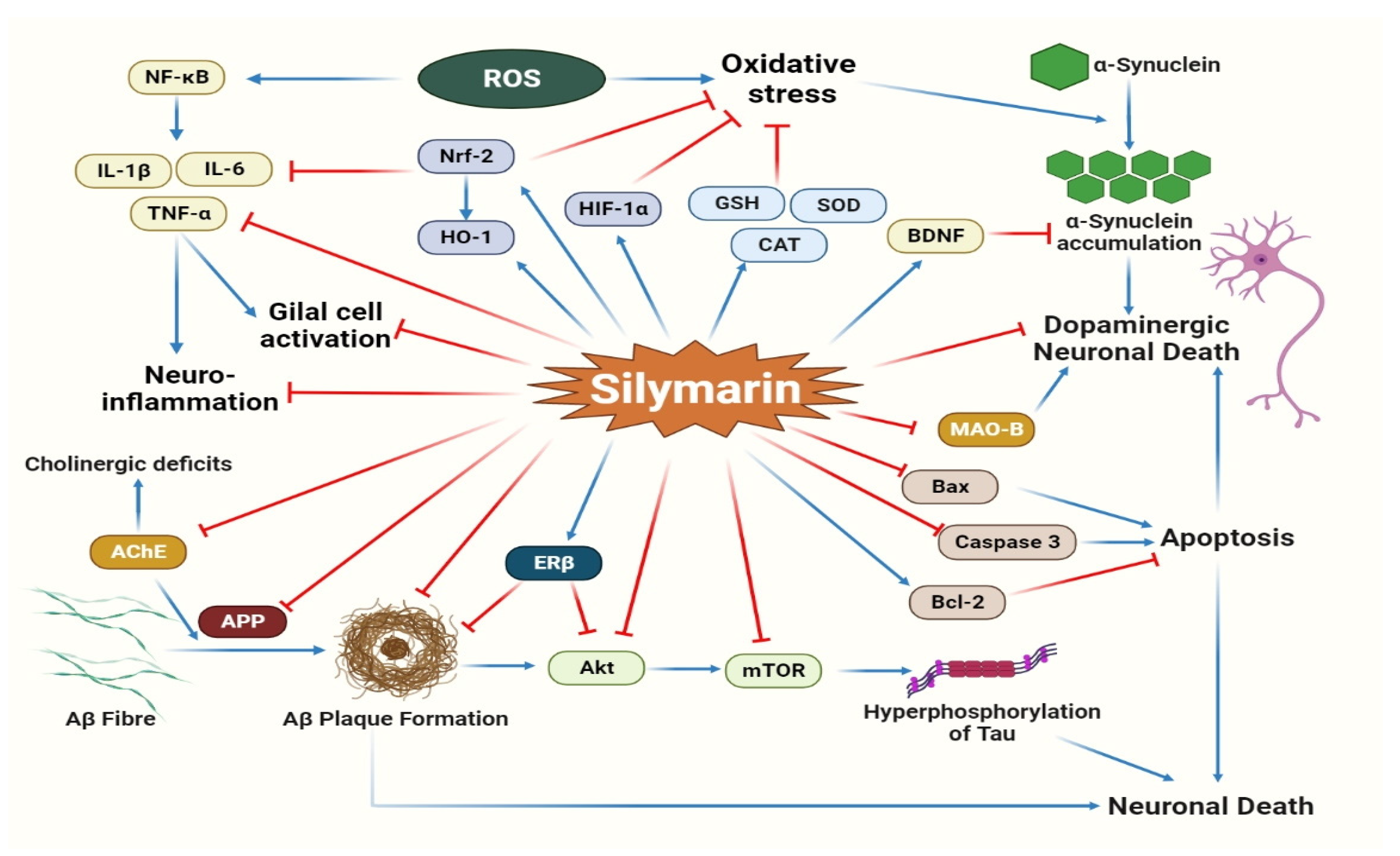 Molecules 27 05327 g006