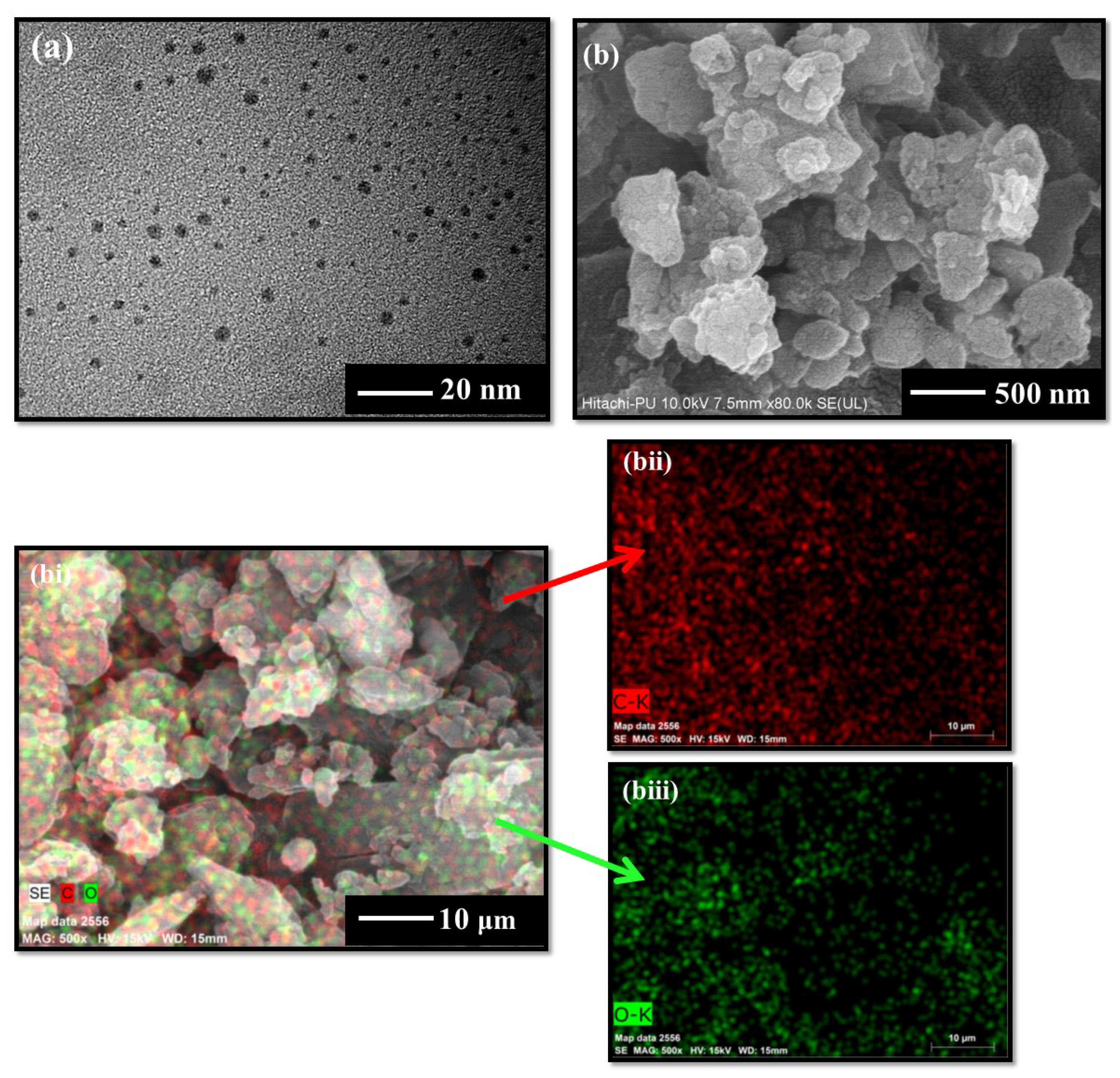 Molecules 27 05329 g004