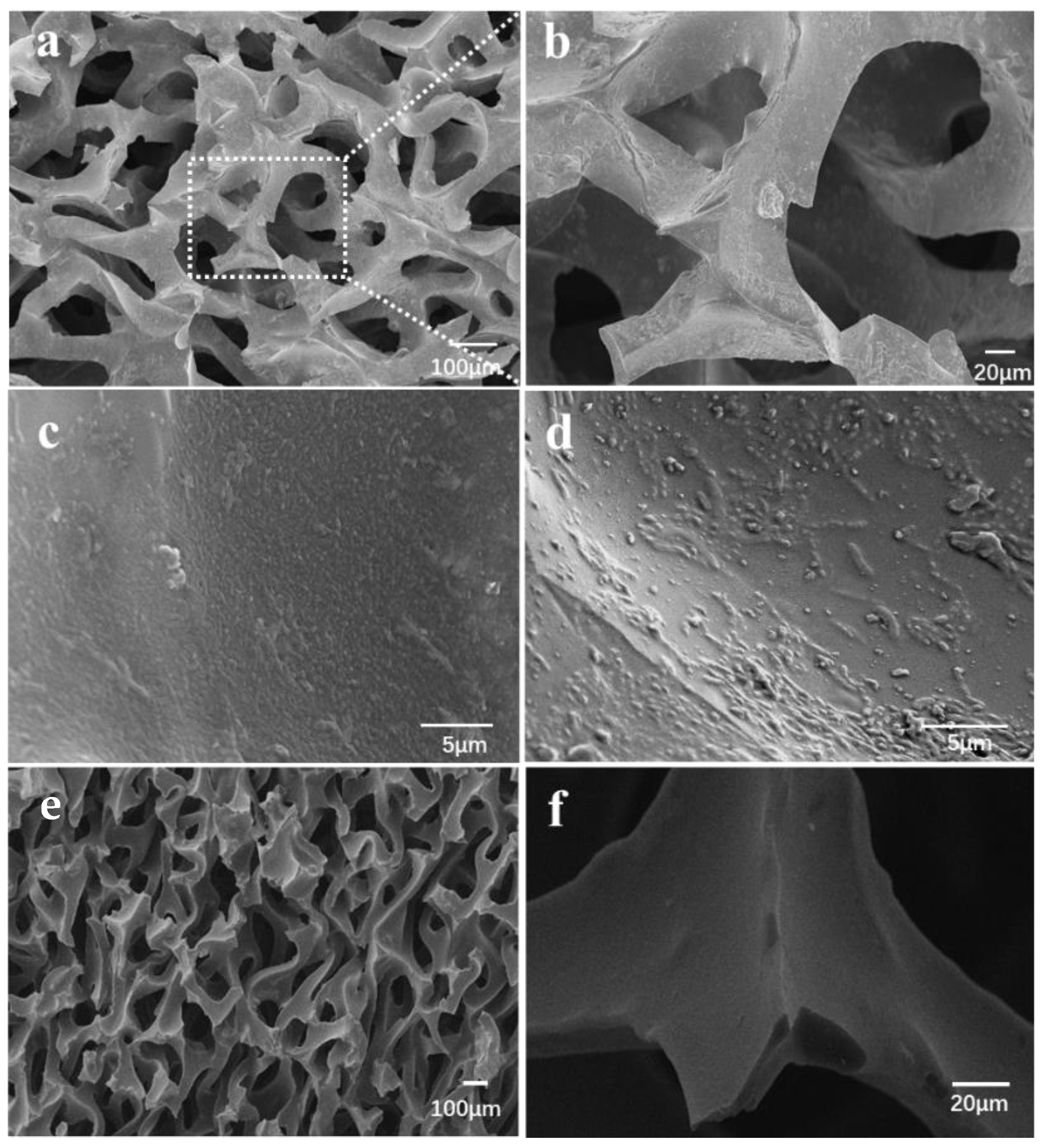 Molecules 27 05330 g004 550