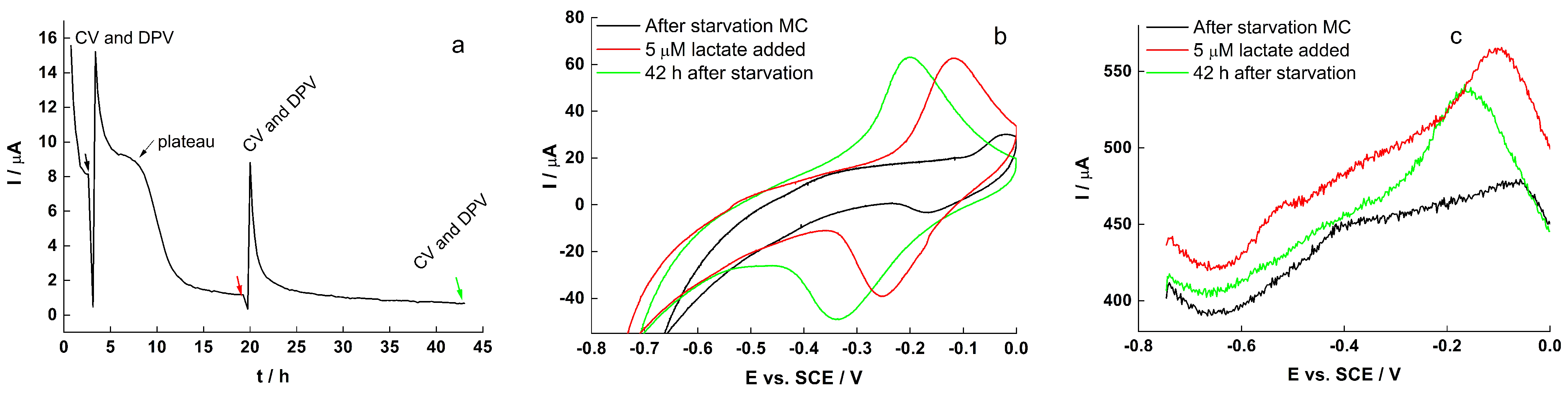 Molecules 27 05330 g006 550