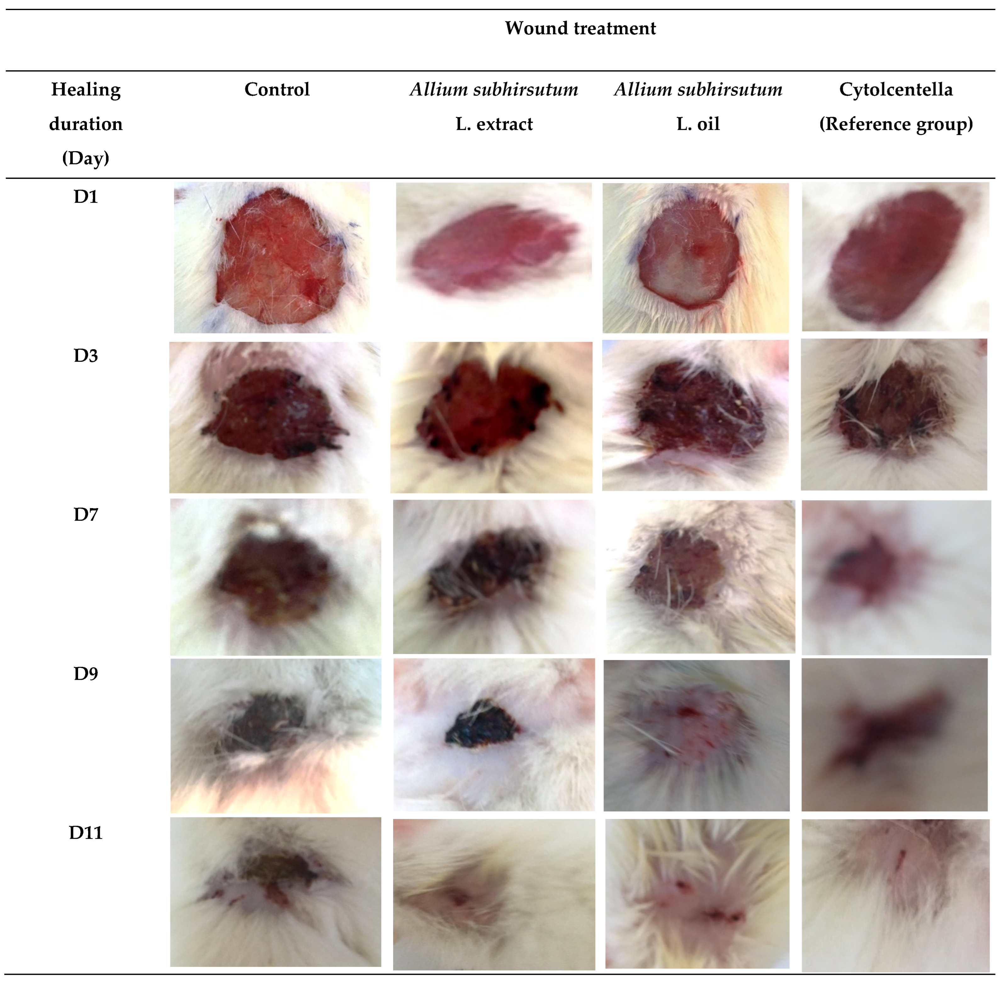 Molecules 27 05332 g001