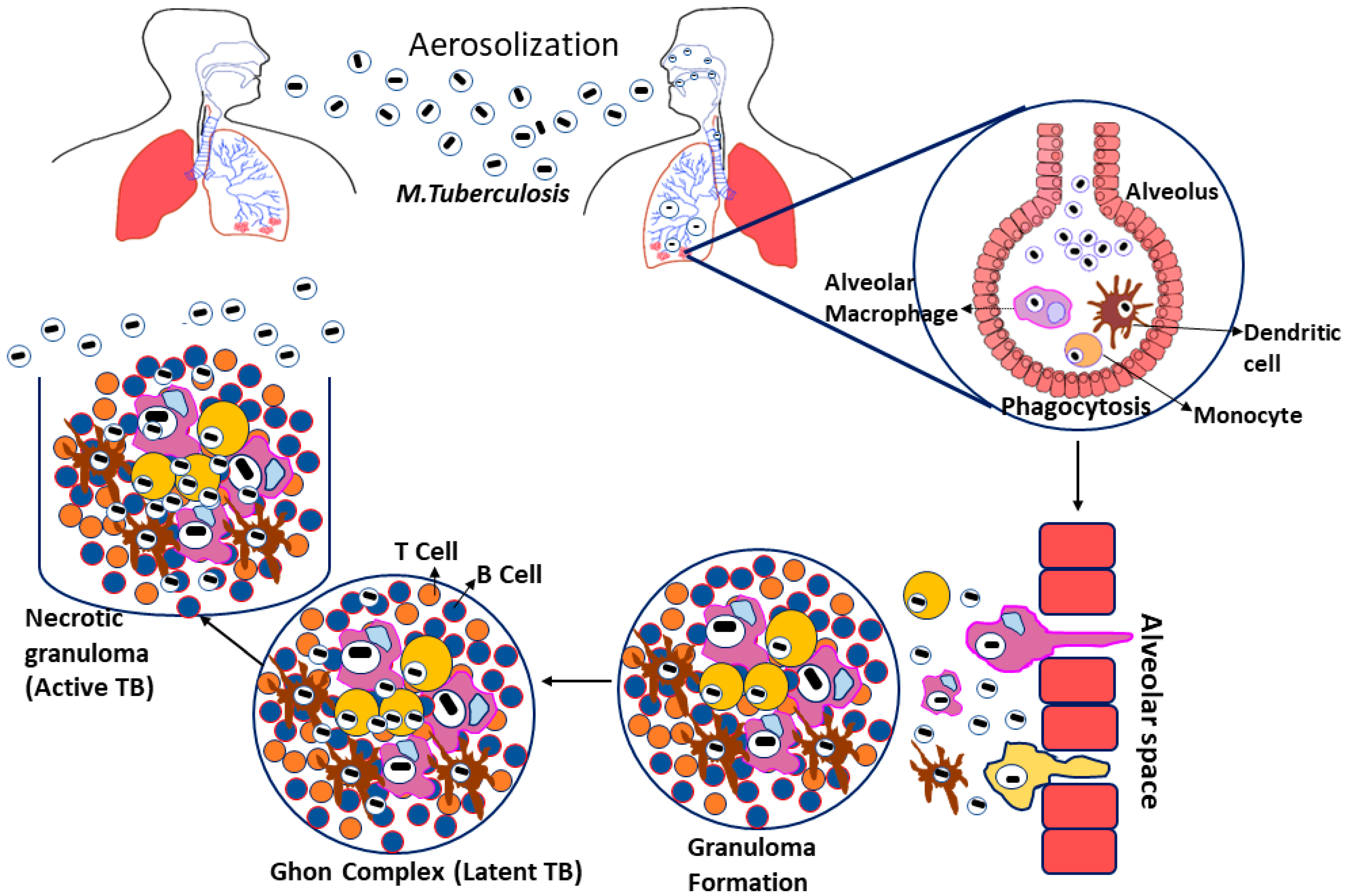 Molecules 27 05335 g001 Molecules 27 05335 g001