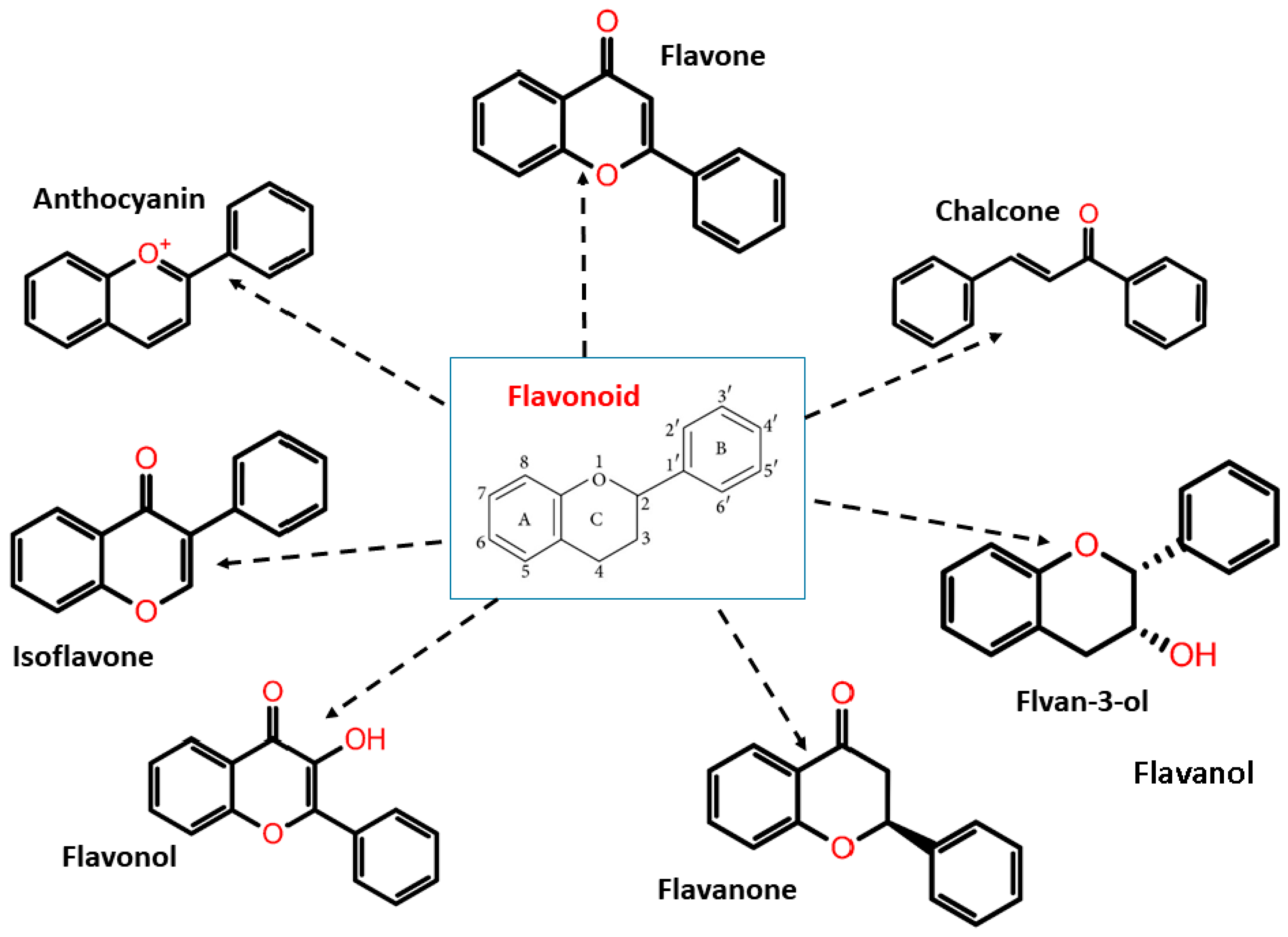 Molecules 27 05335 g002 Molecules 27 05335 g002