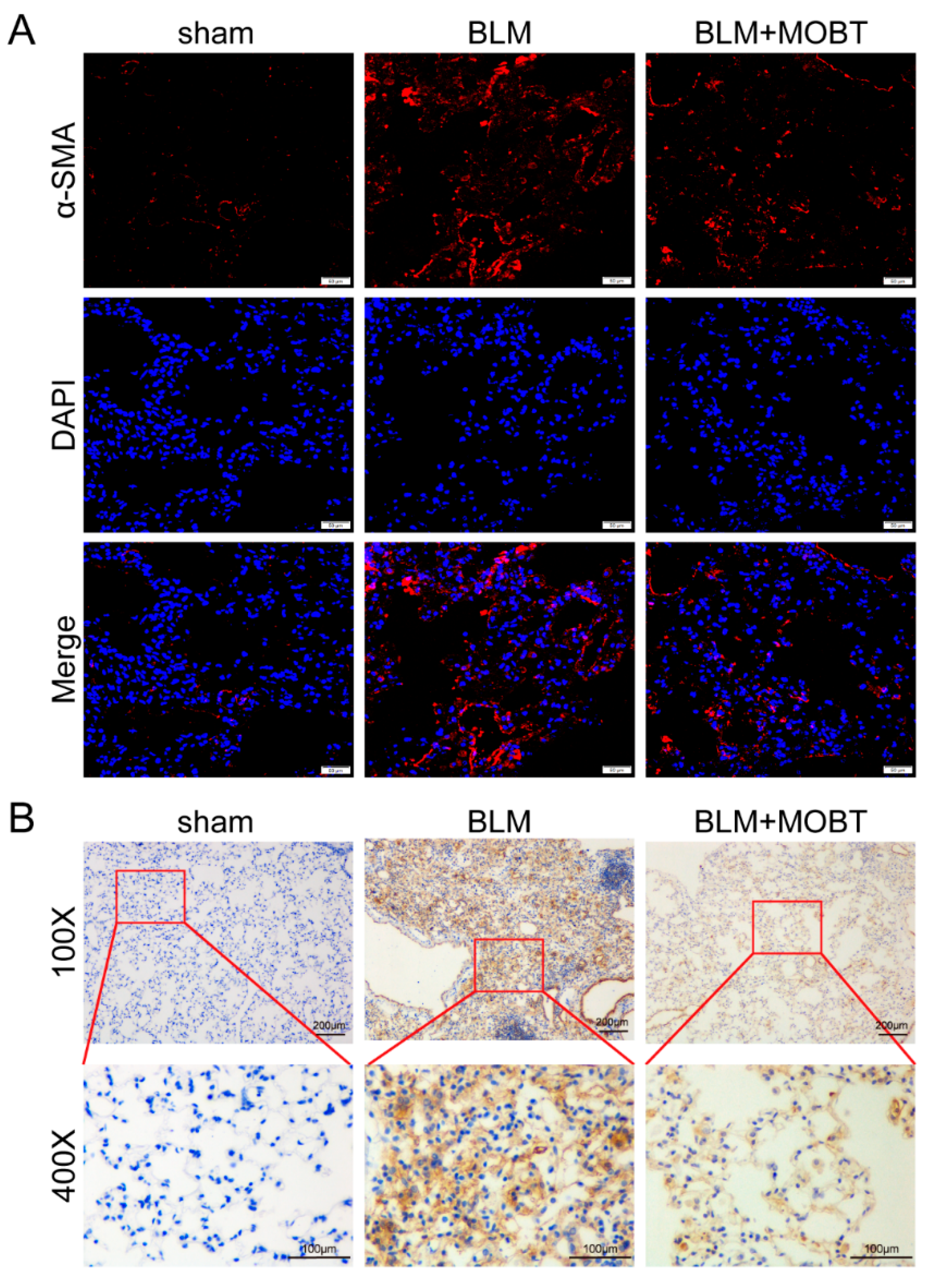 Molecules 27 05336 g002