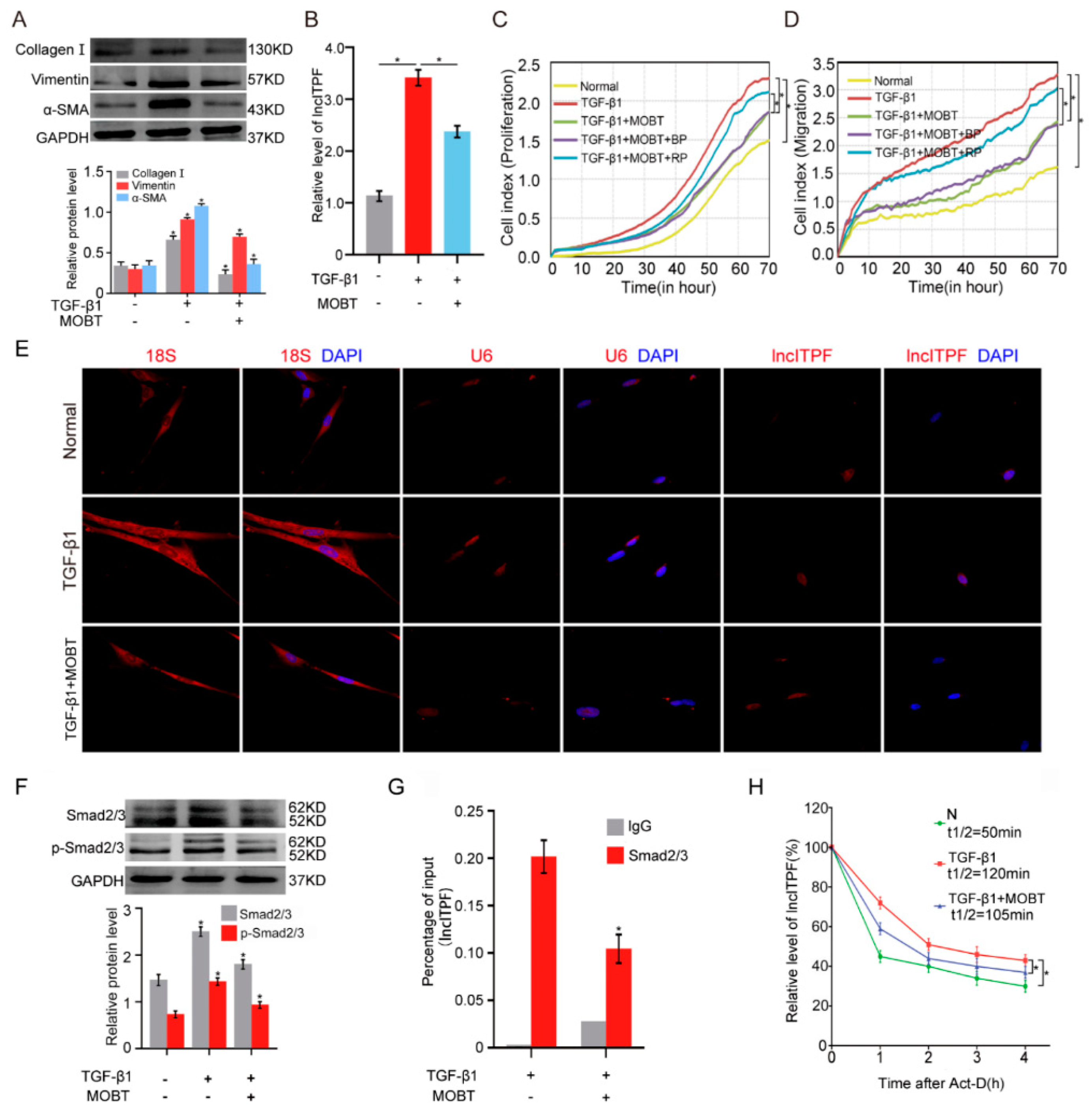 Molecules 27 05336 g003