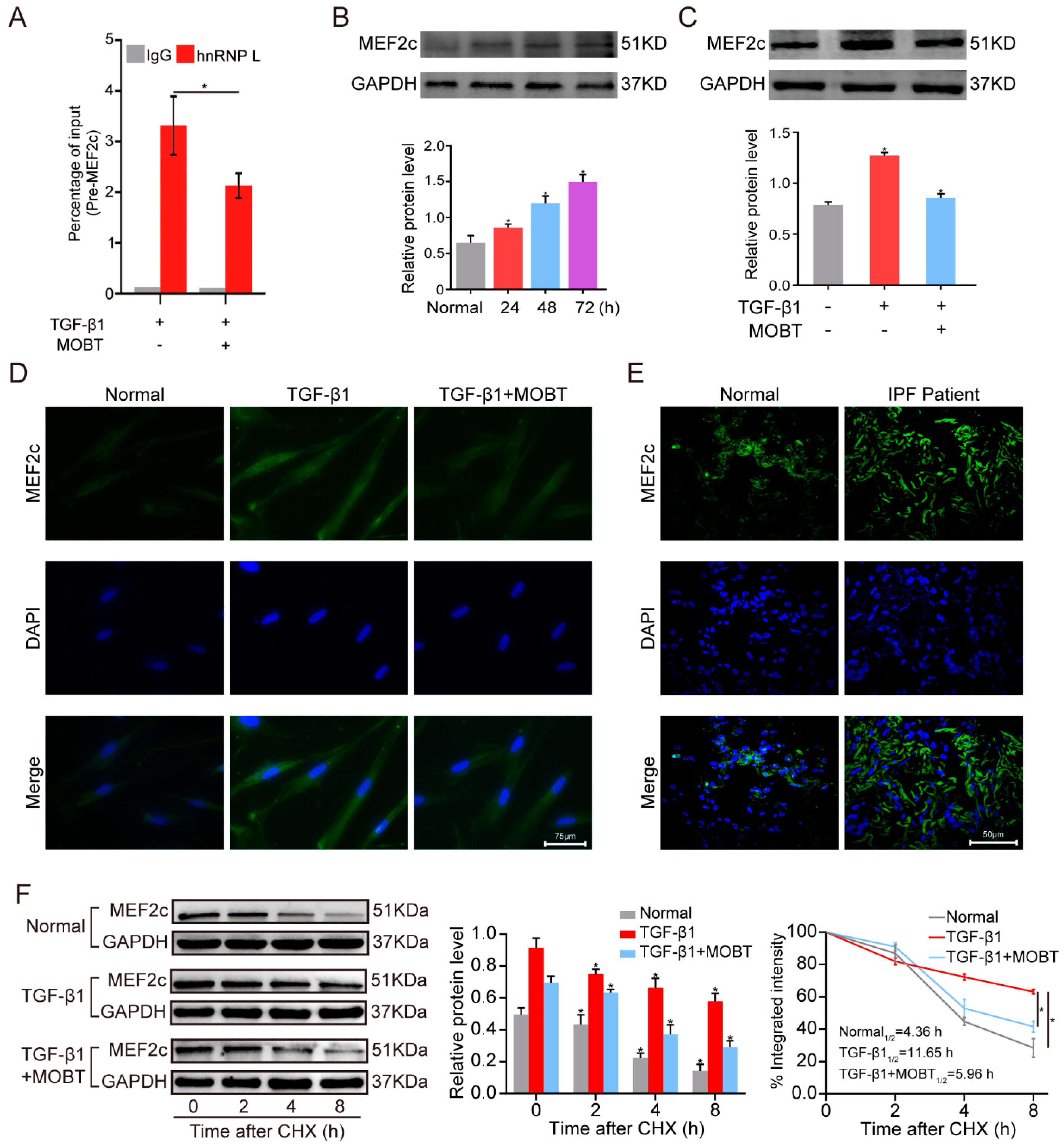 Molecules 27 05336 g004