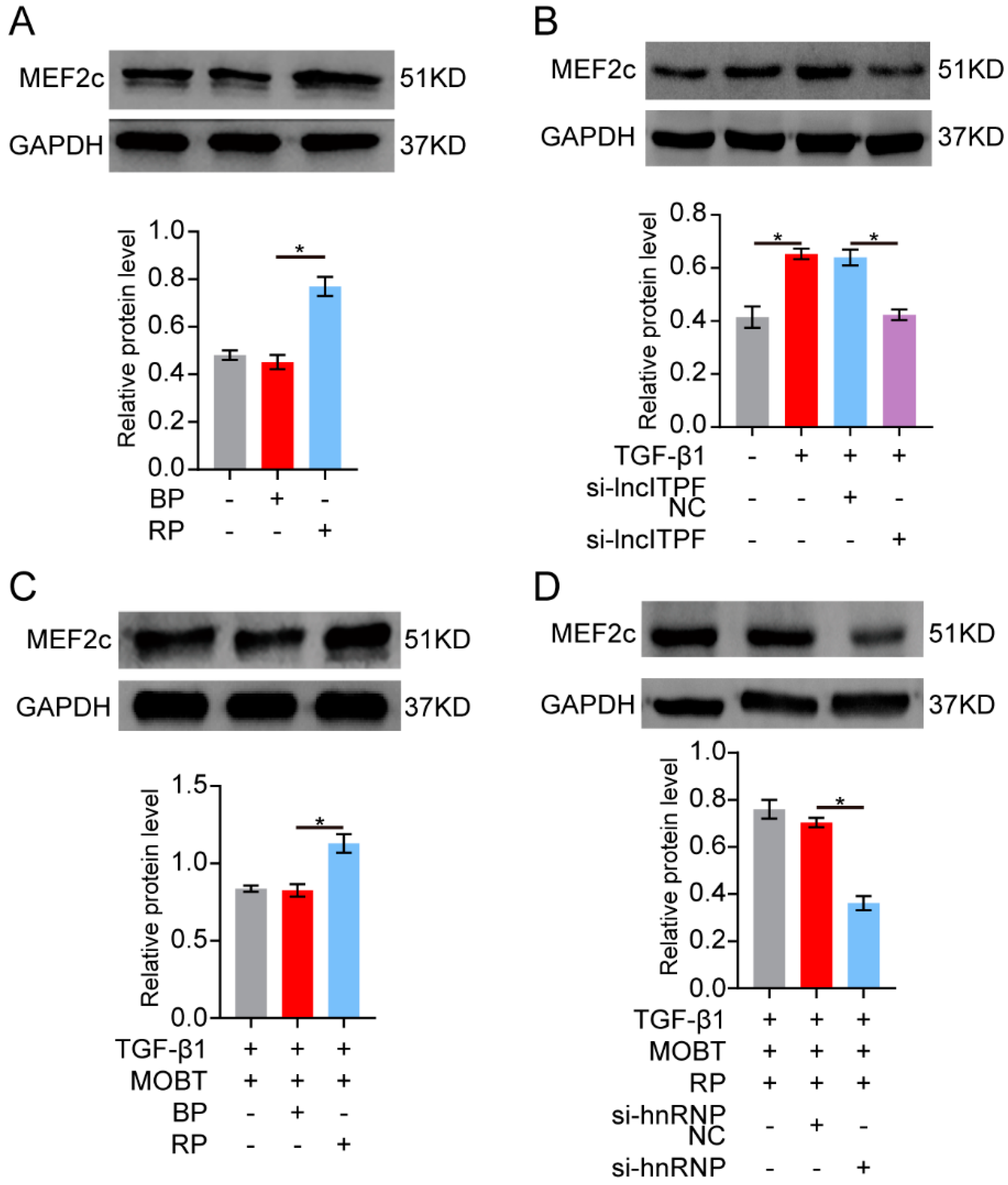 Molecules 27 05336 g005
