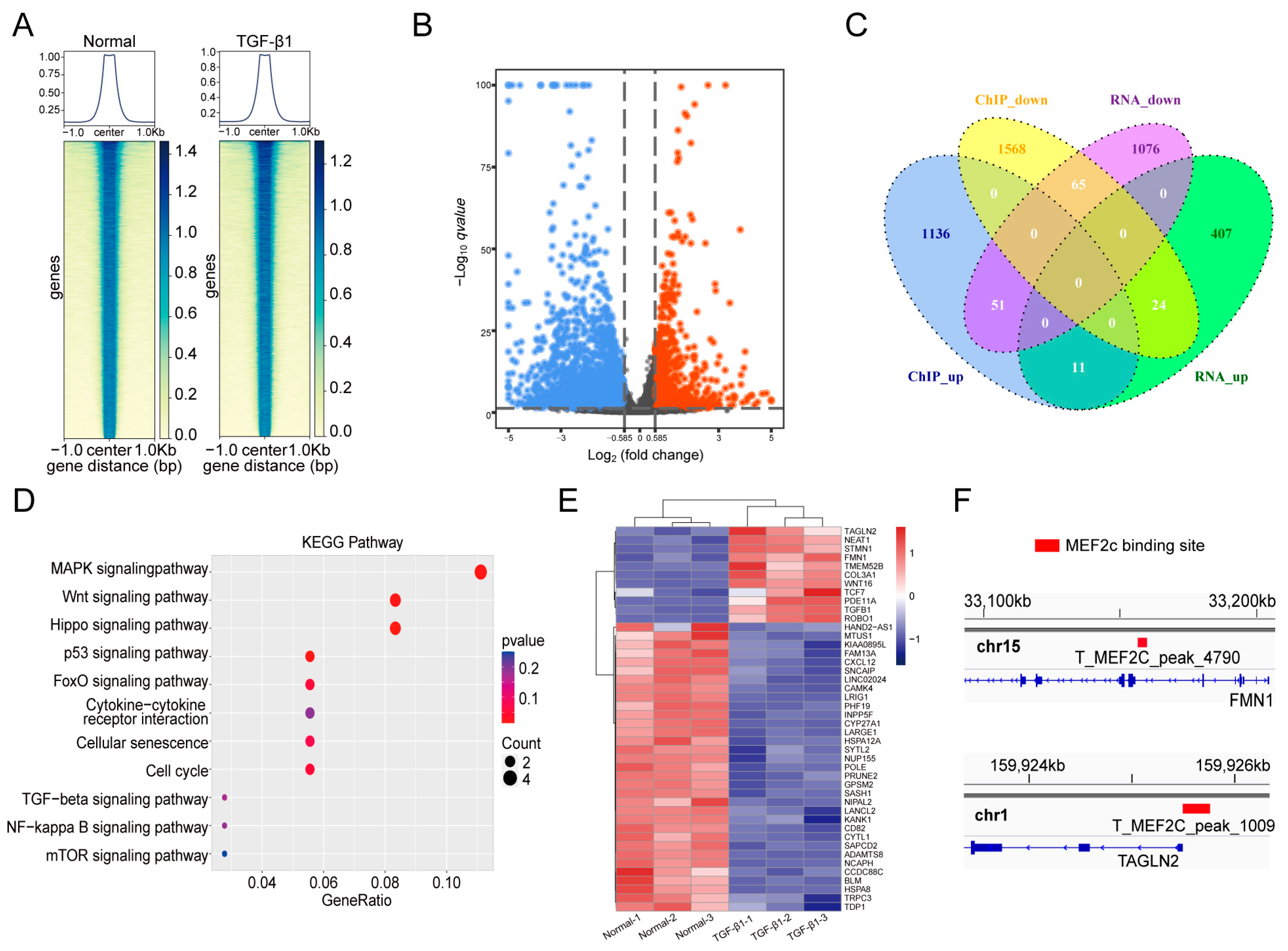 Molecules 27 05336 g006