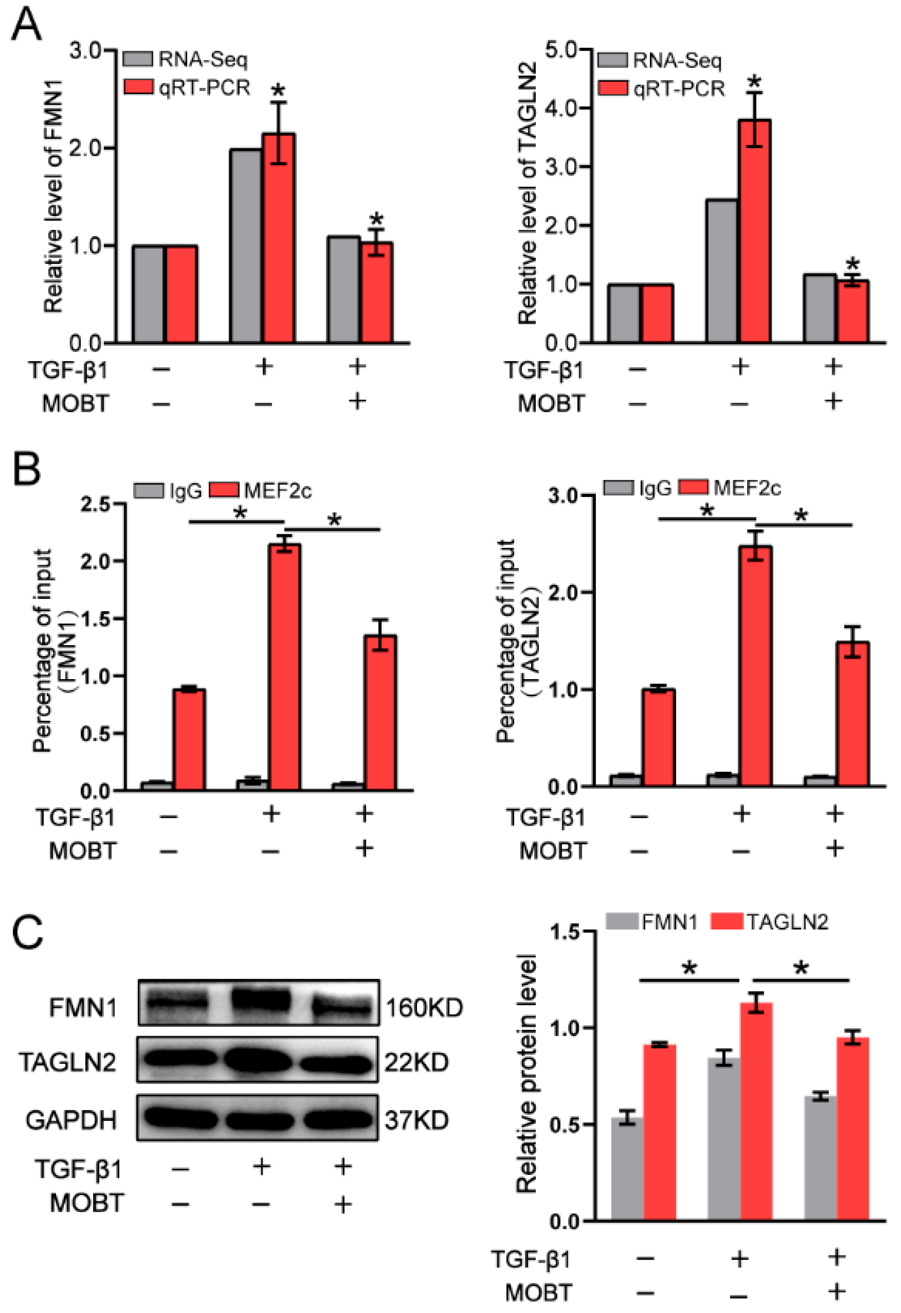 Molecules 27 05336 g007