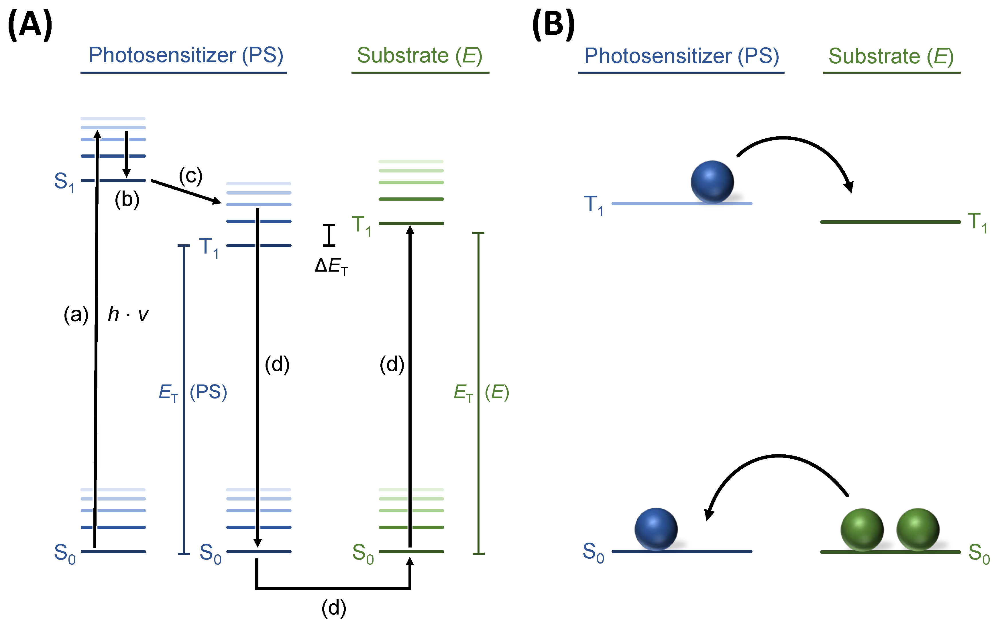 Molecules 27 05342 g001 550