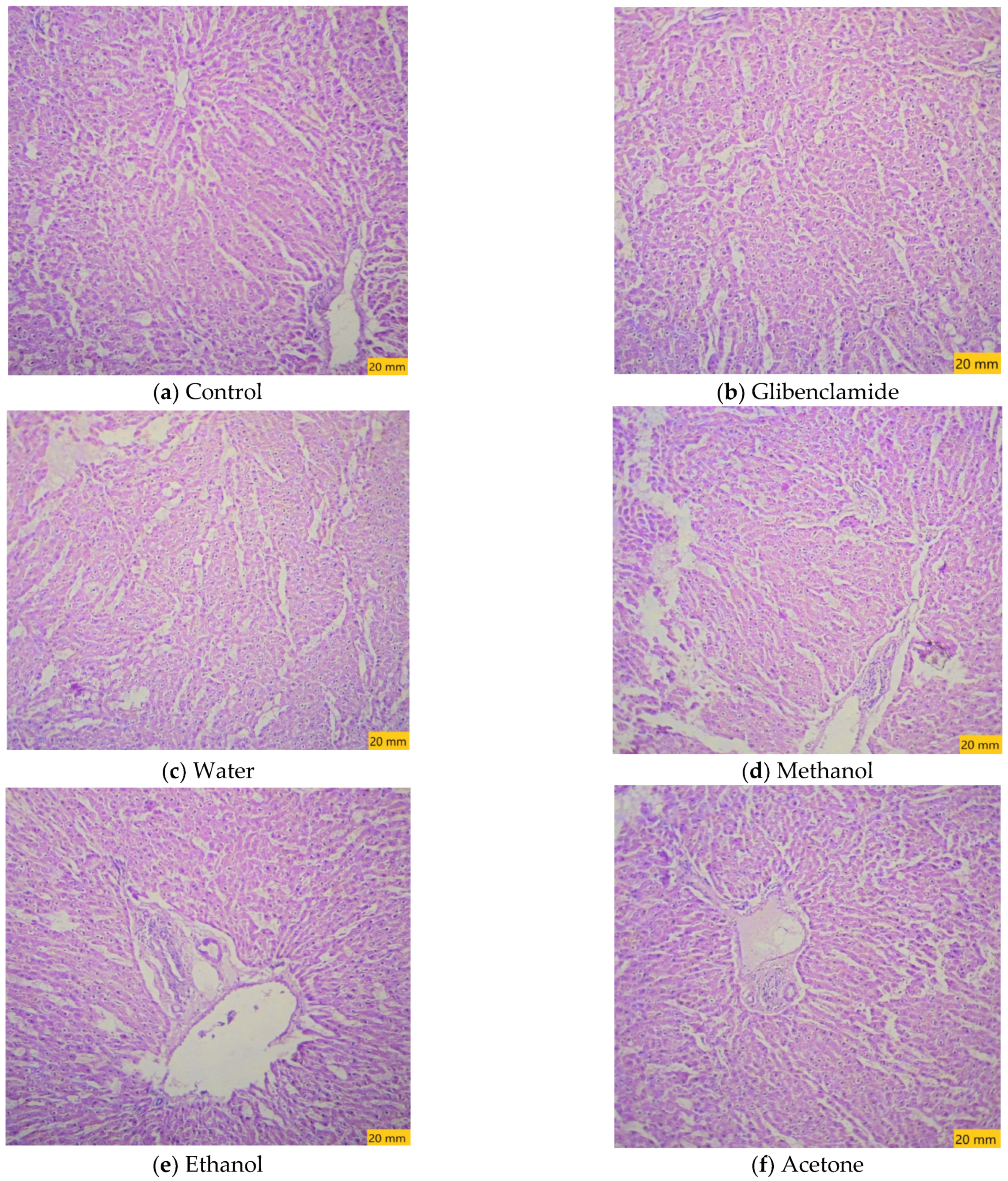 Molecules 27 05346 g004