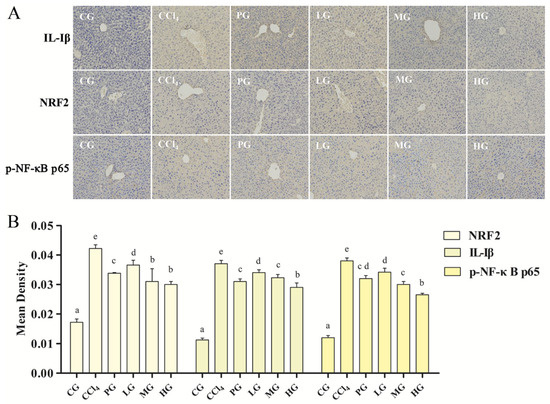 OUPLC-Q-TOF/MS chromatograms and annotation of the molecular