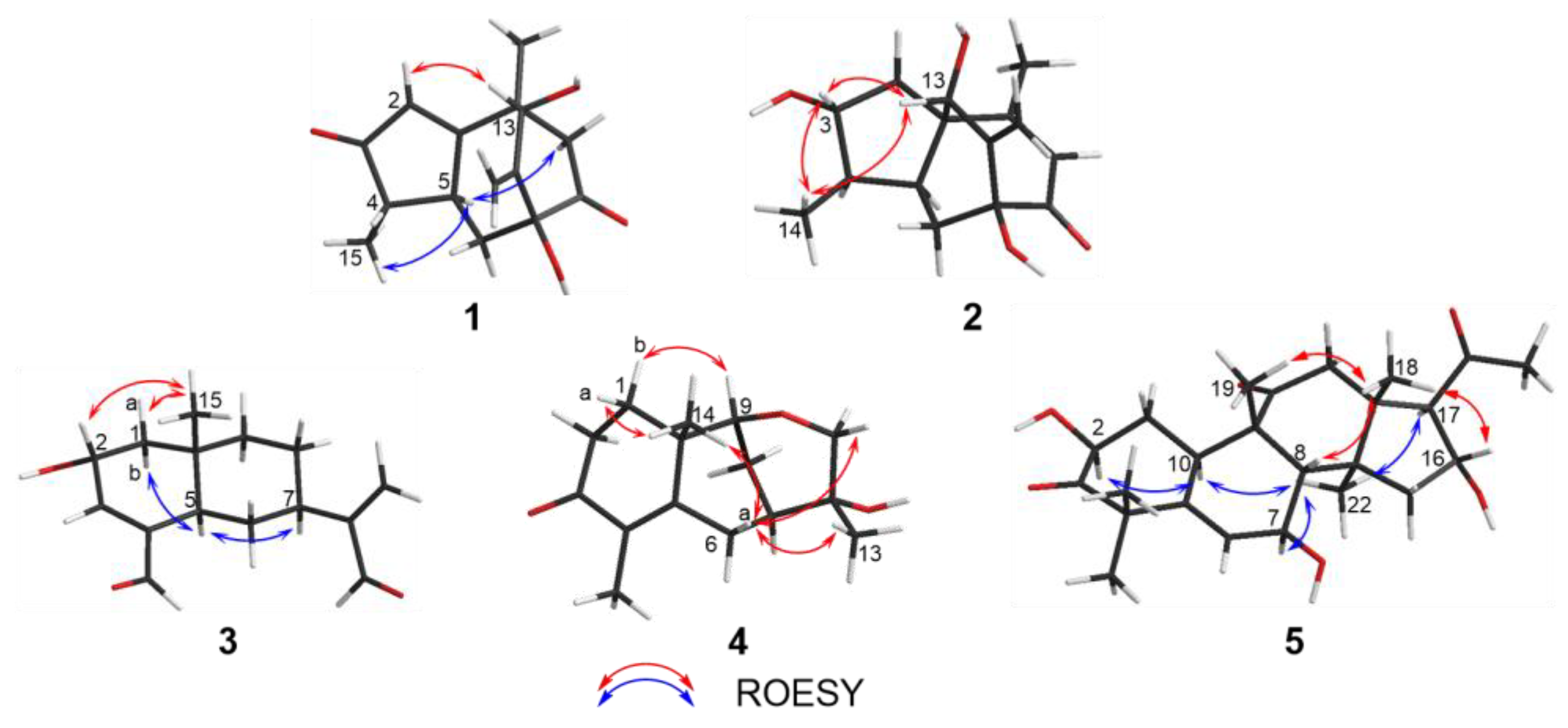 Molecules 27 05350 g003