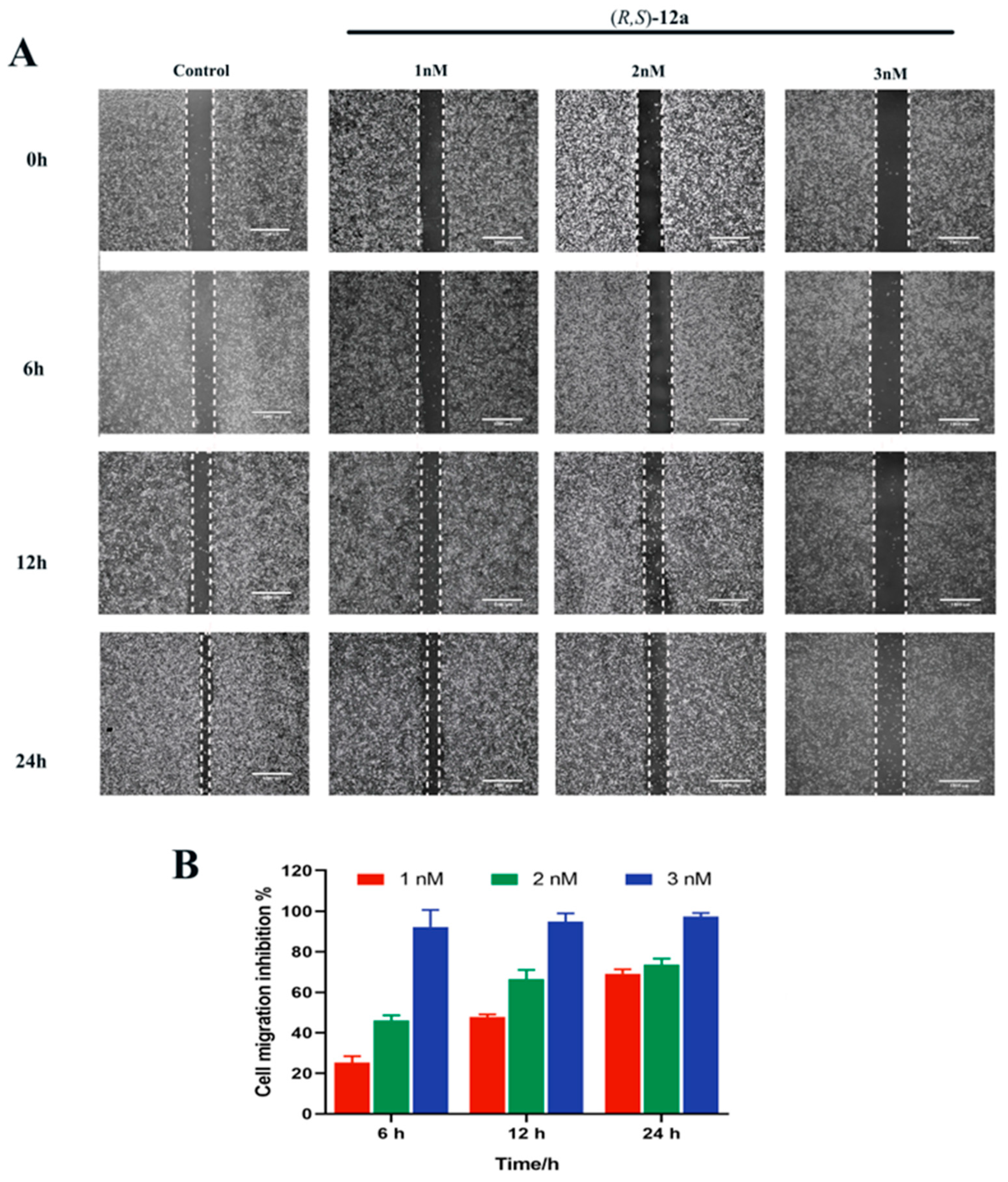 Molecules 27 05359 g008
