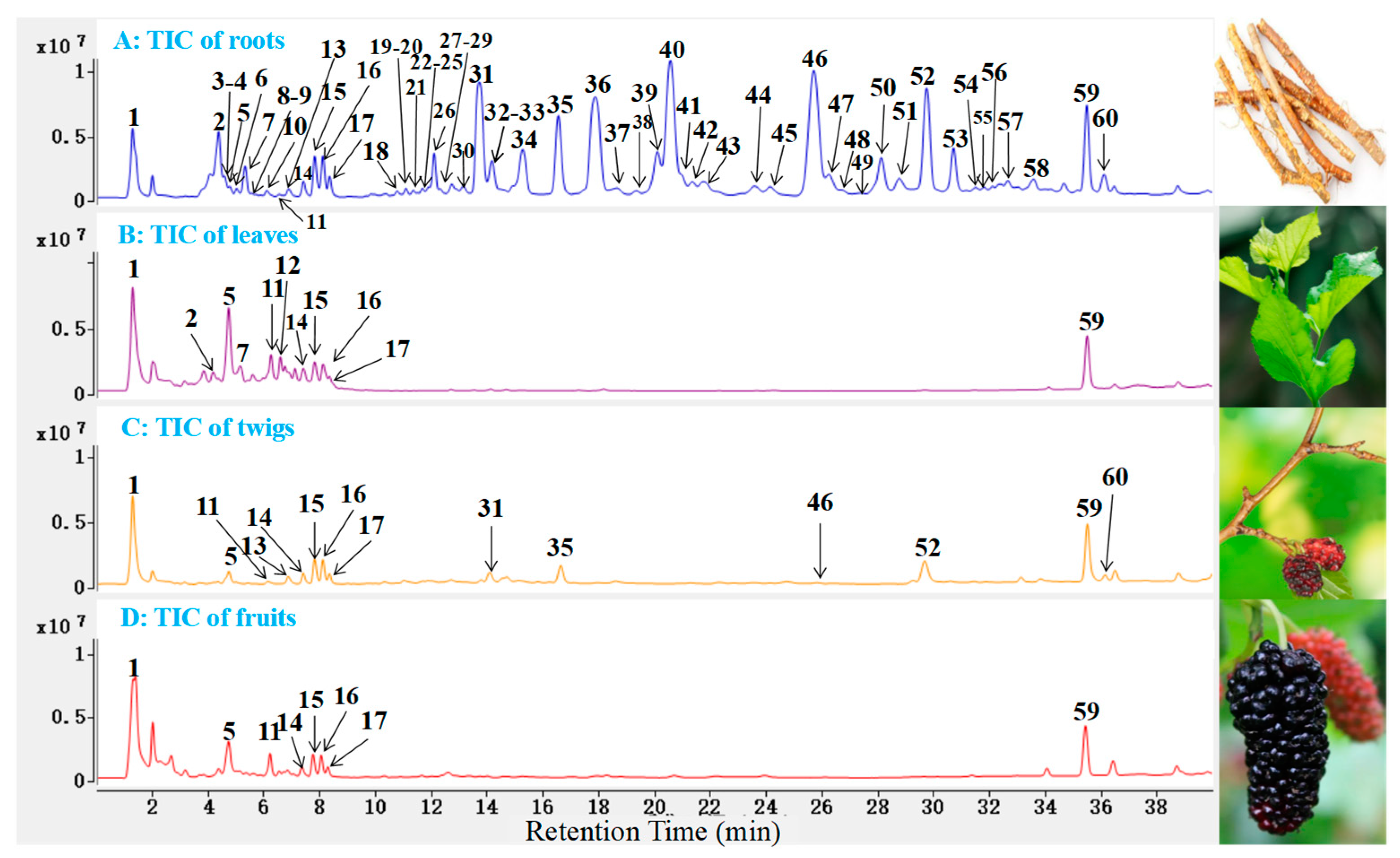 Molecules 27 05360 g002 550