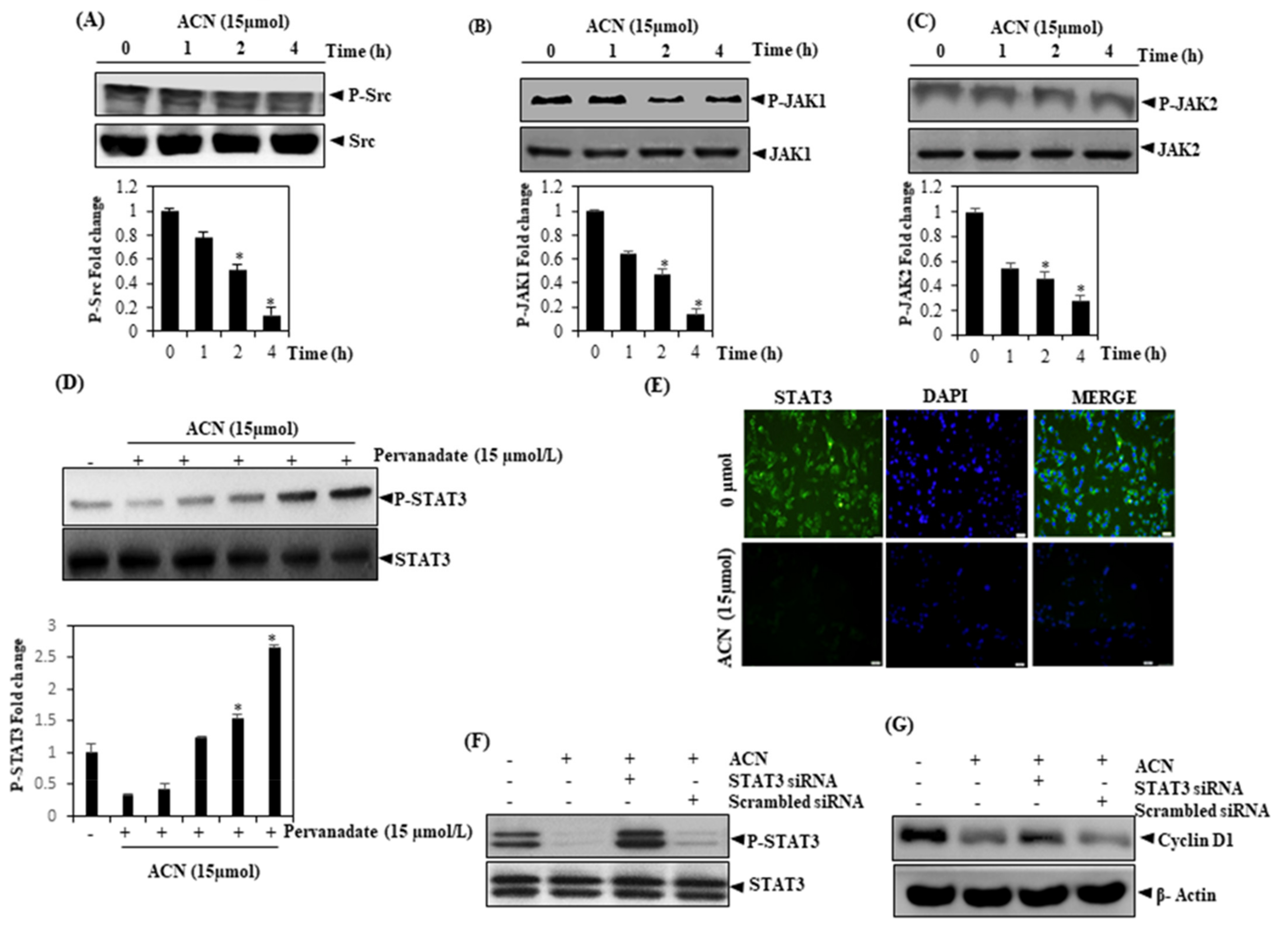 Molecules 27 05361 g003