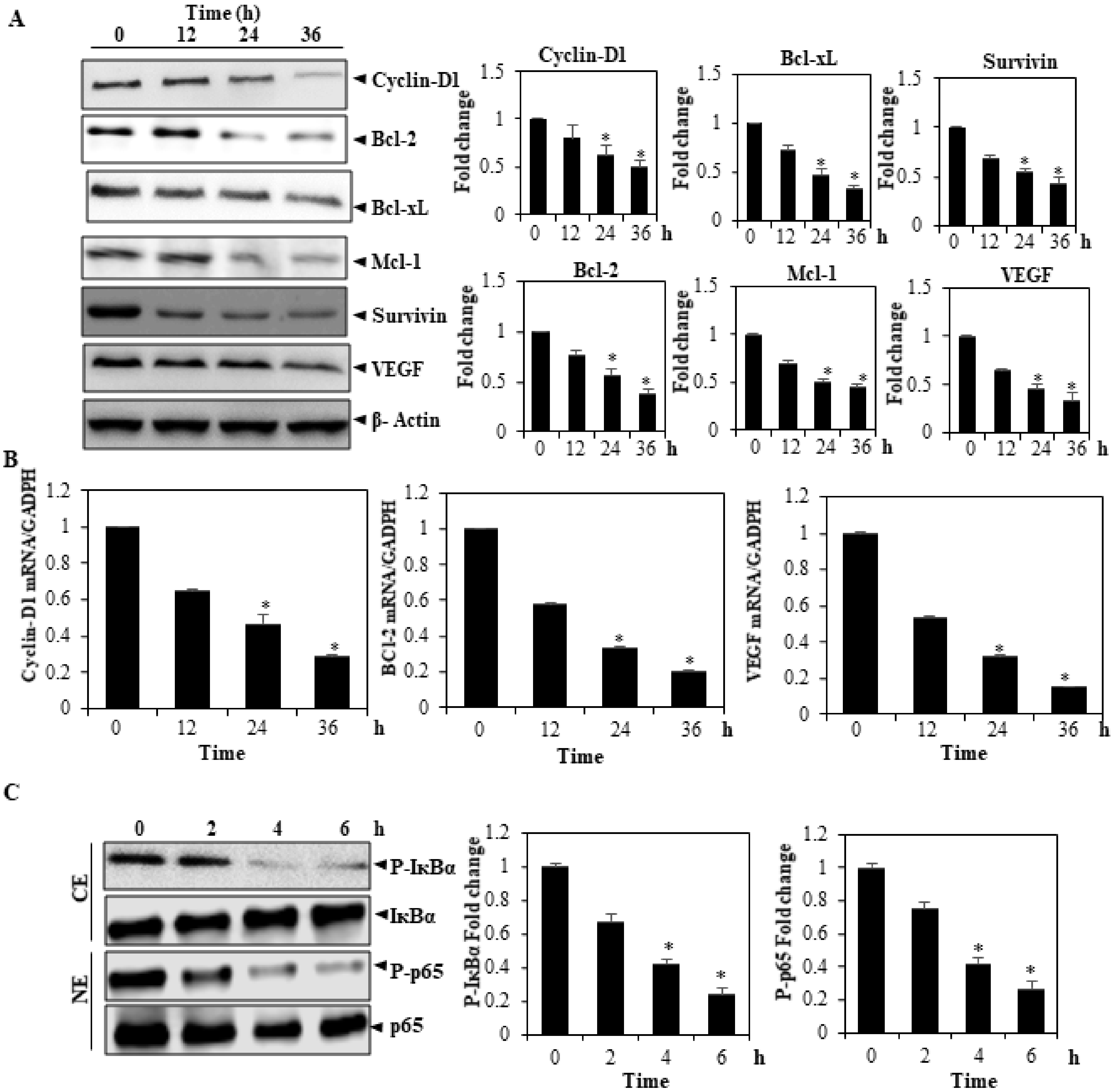 Molecules 27 05361 g004